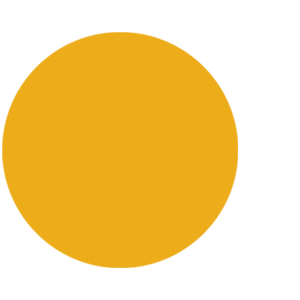 Yellow Gold – Gloss.png