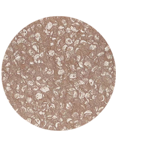 Fossil Shell Pink.png
