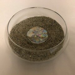 005182_e8ec44b4ecae44e9833b56b297a37f3c~mv2.jpg