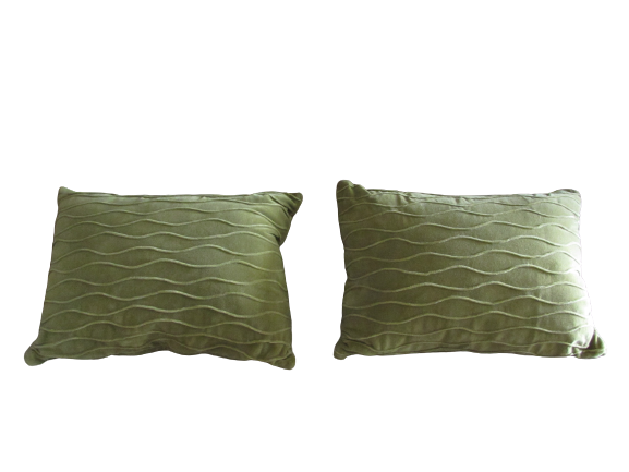 green_cushions__set_of_2_-removebg-preview.png