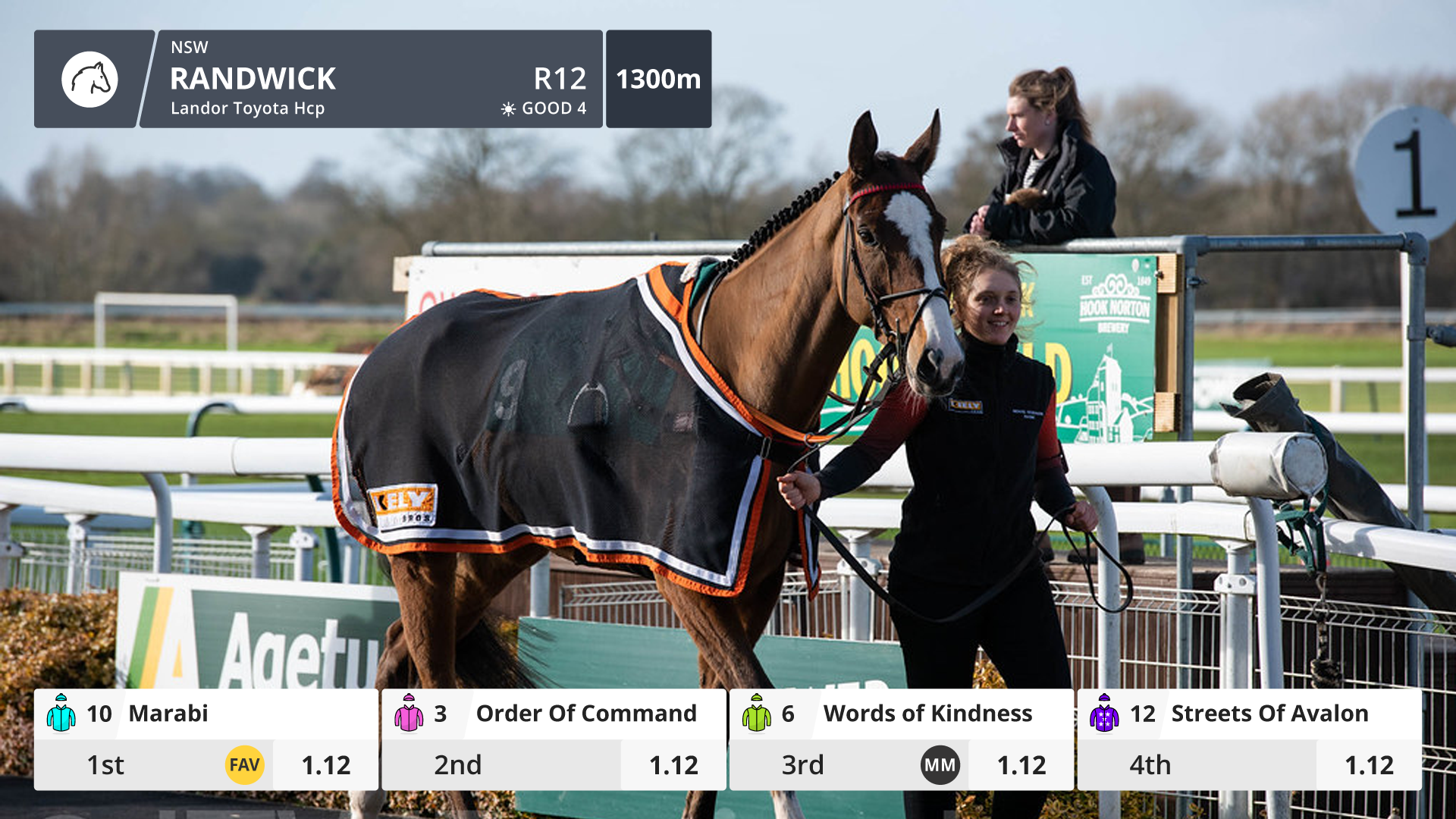 04B_LAD_LIVE2_IN_RACE_HORSES_RACE_PLACEMENT_01.png