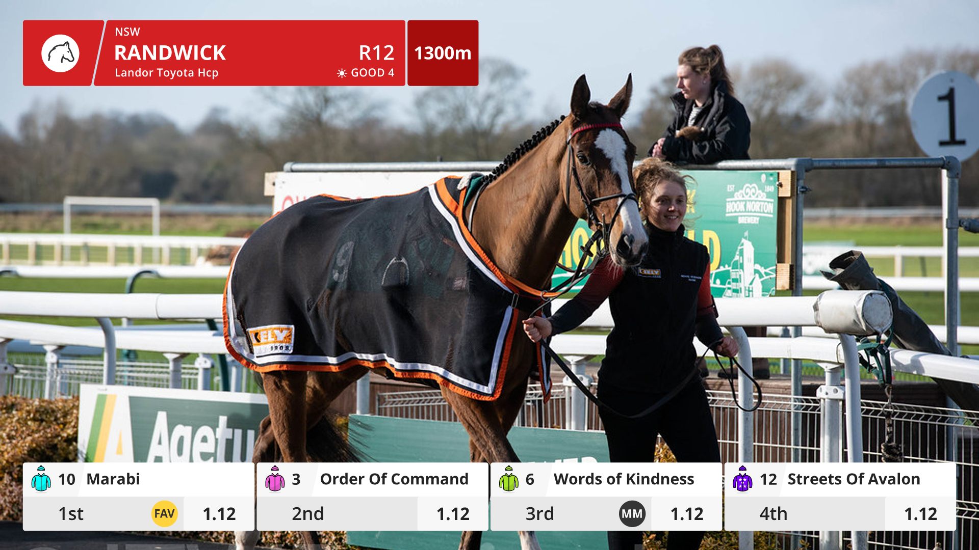 04B_LAD_LIVE1_IN_RACE_HORSES_RACE_PLACEMENT_01.png