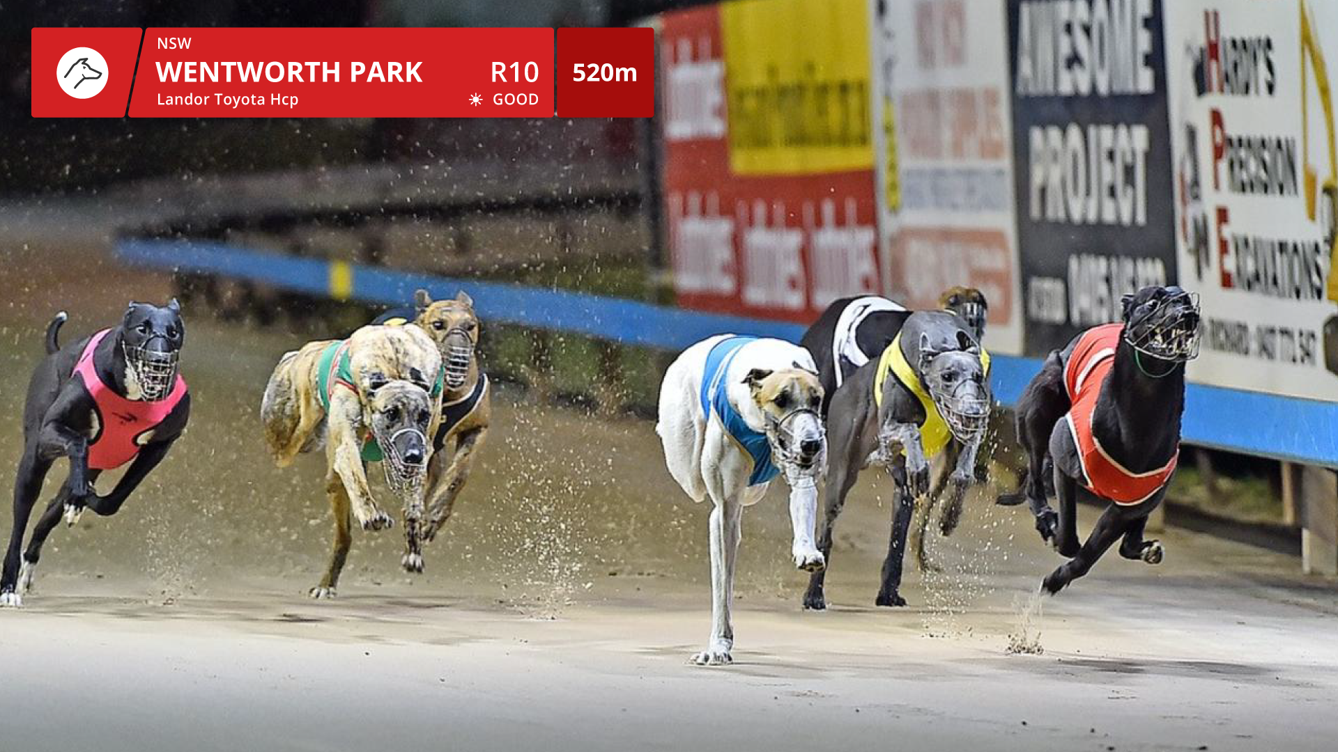 04C_LAD_LIVE1_IN_RACE_DOG_TITLE_BAR_01.png