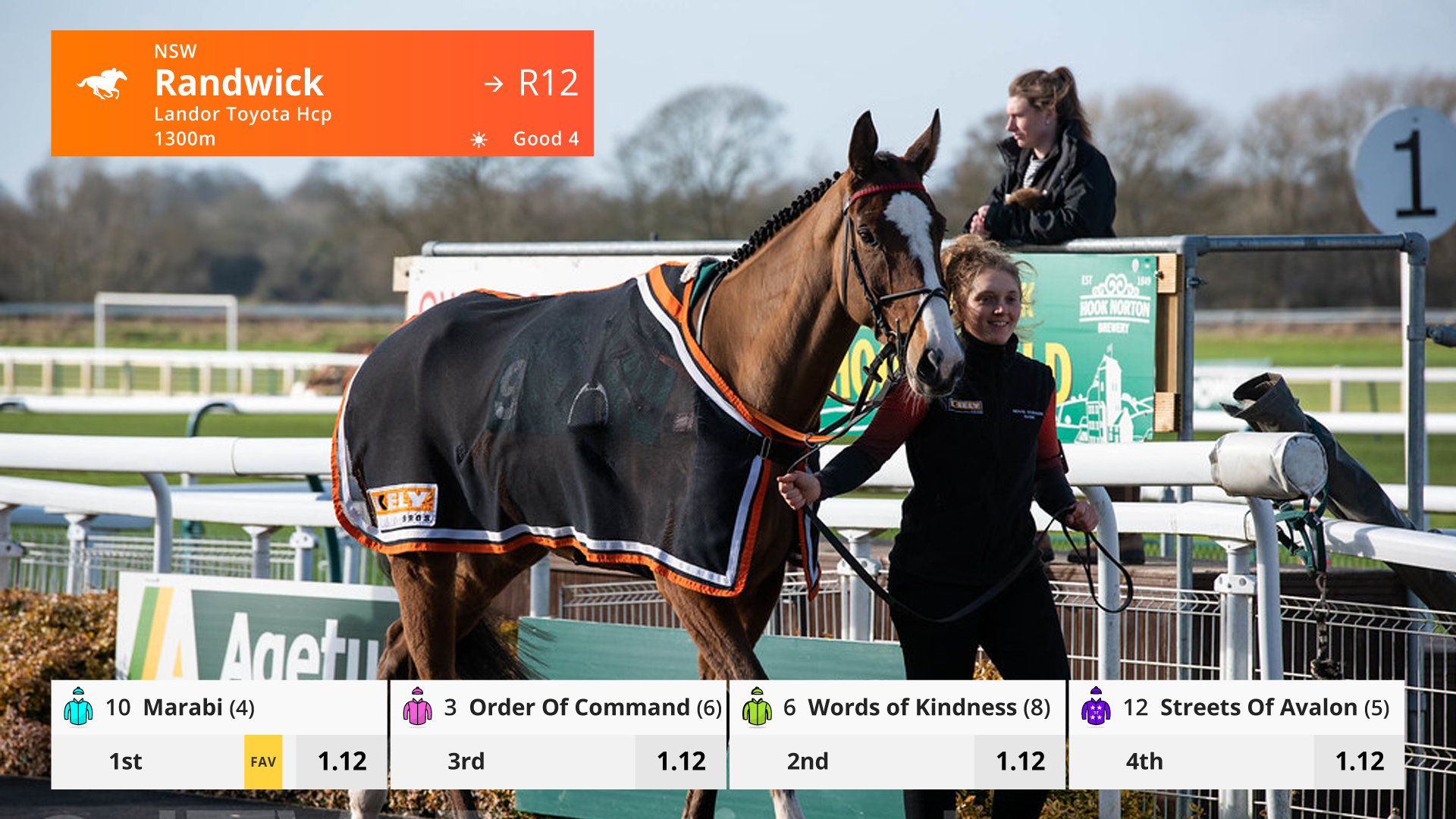 04B_NEDS_NOW1_IN_RACE_HORSES_RACE_PLACEMENT_01 2.png