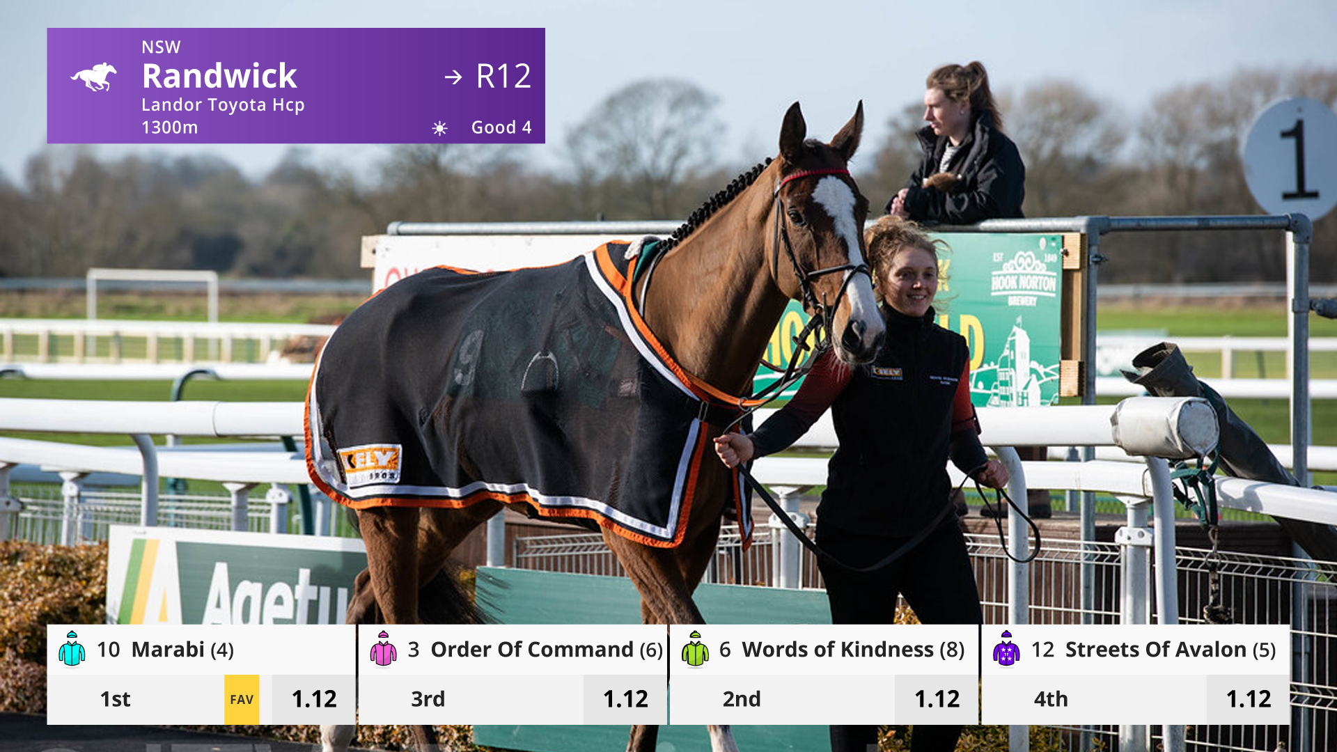 04B_NEDS_NOW1_IN_RACE_HORSES_RACE_PLACEMENT_01.png