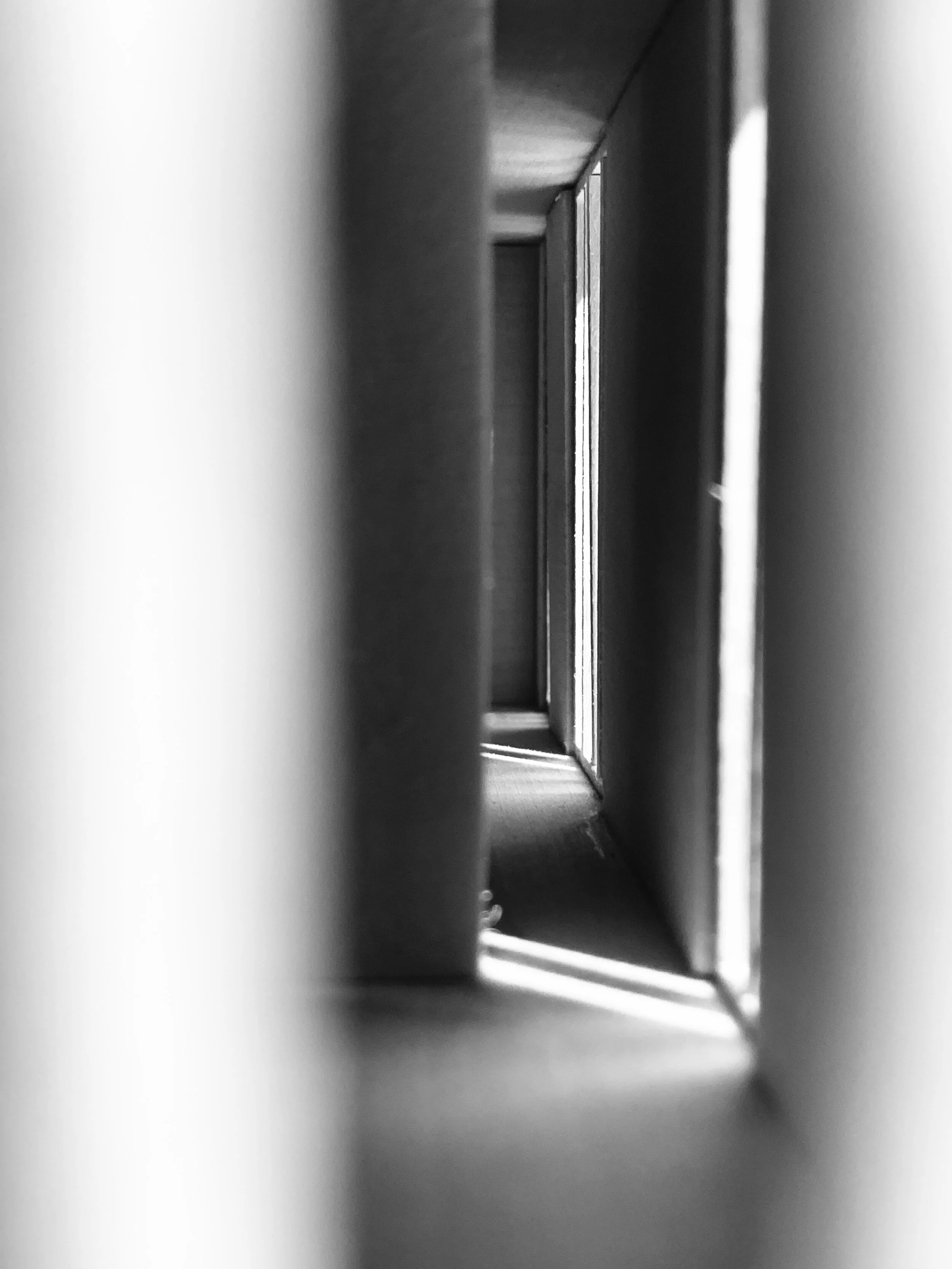 shadow_02.jpg