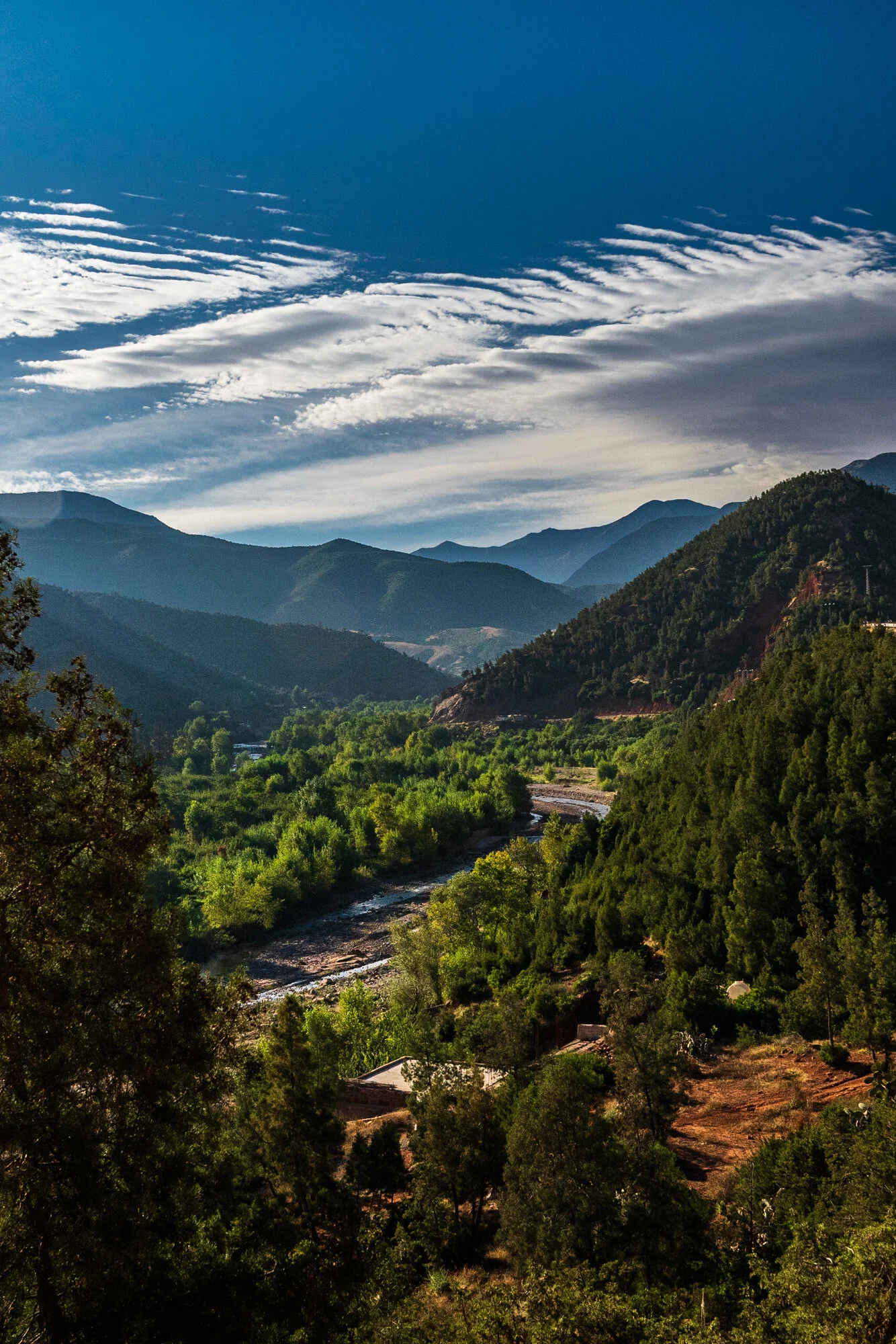 website-149.jpg