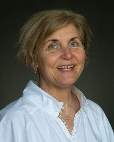 Sylvie Philippon {{DSI de transition}}