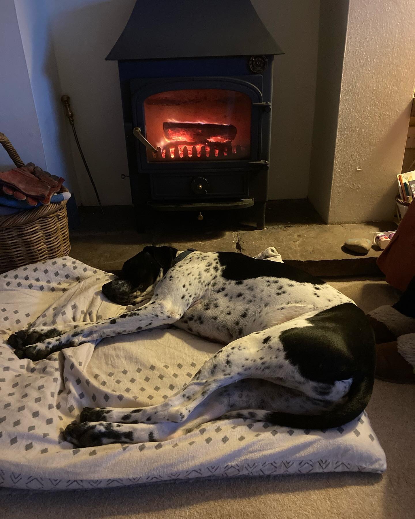 We were so happy to make this dogs day today! Old flue liner removed and a new one fitted so someone could be back in their favourite spot!
#happydoghappylife #allinadayswork #flueliner #herefordshirecountrylife #herefordshirelife #herefordshirebusin