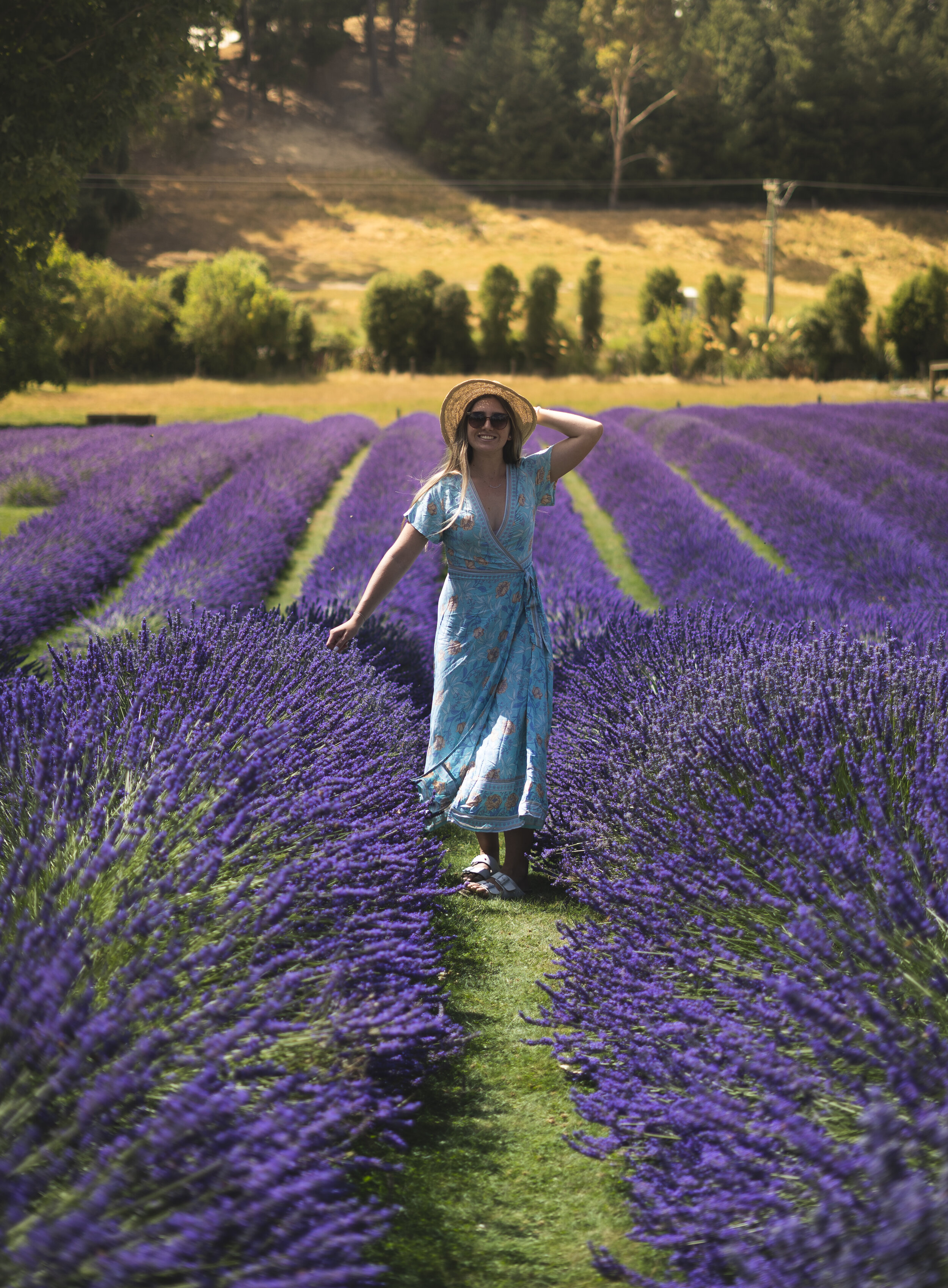 Abbey Lavendar Farm (1 of 1).jpg