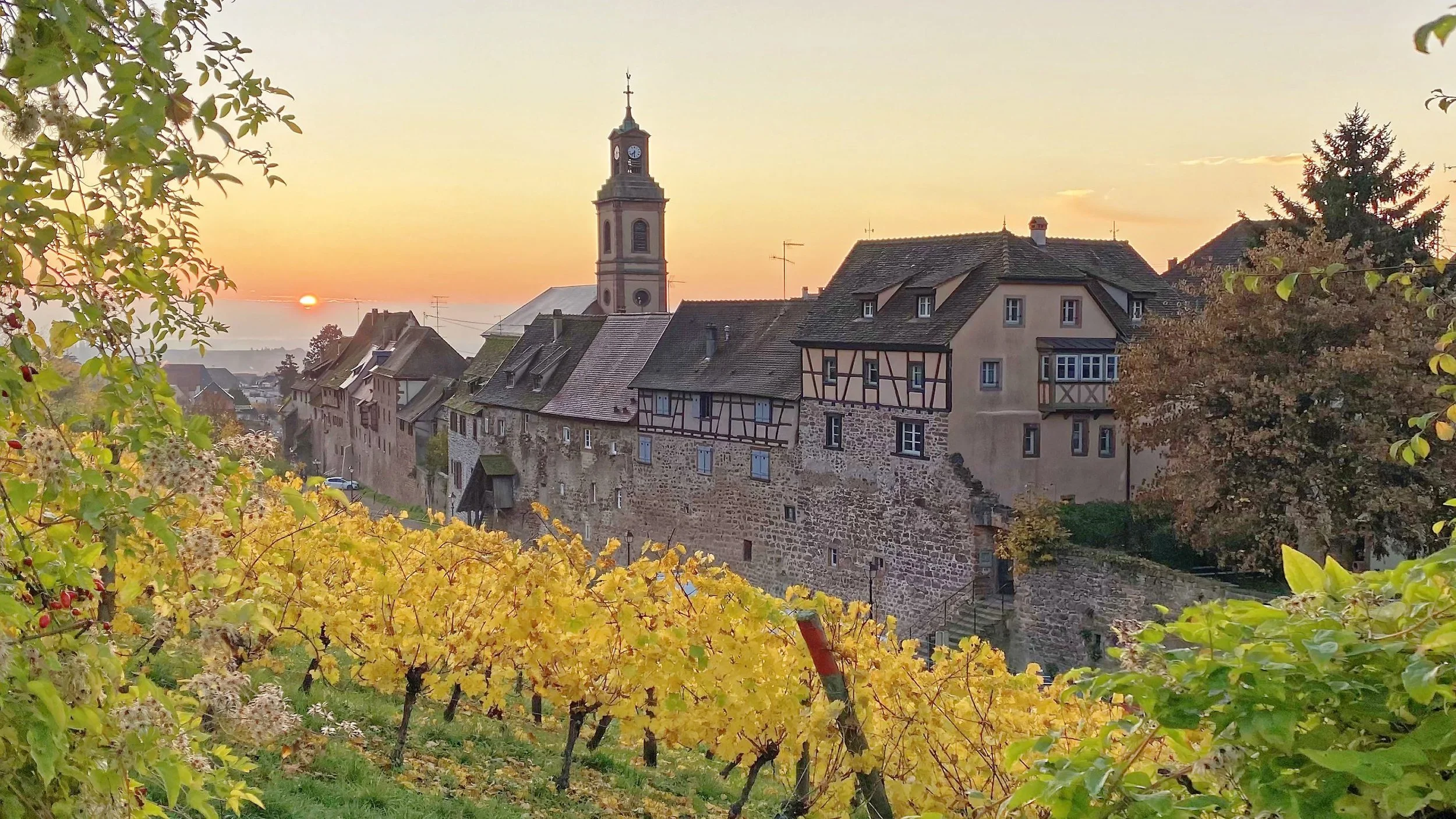 Riquewihr-matin-6NOV-iphone_4748_16x9-scaled-3.jpg
