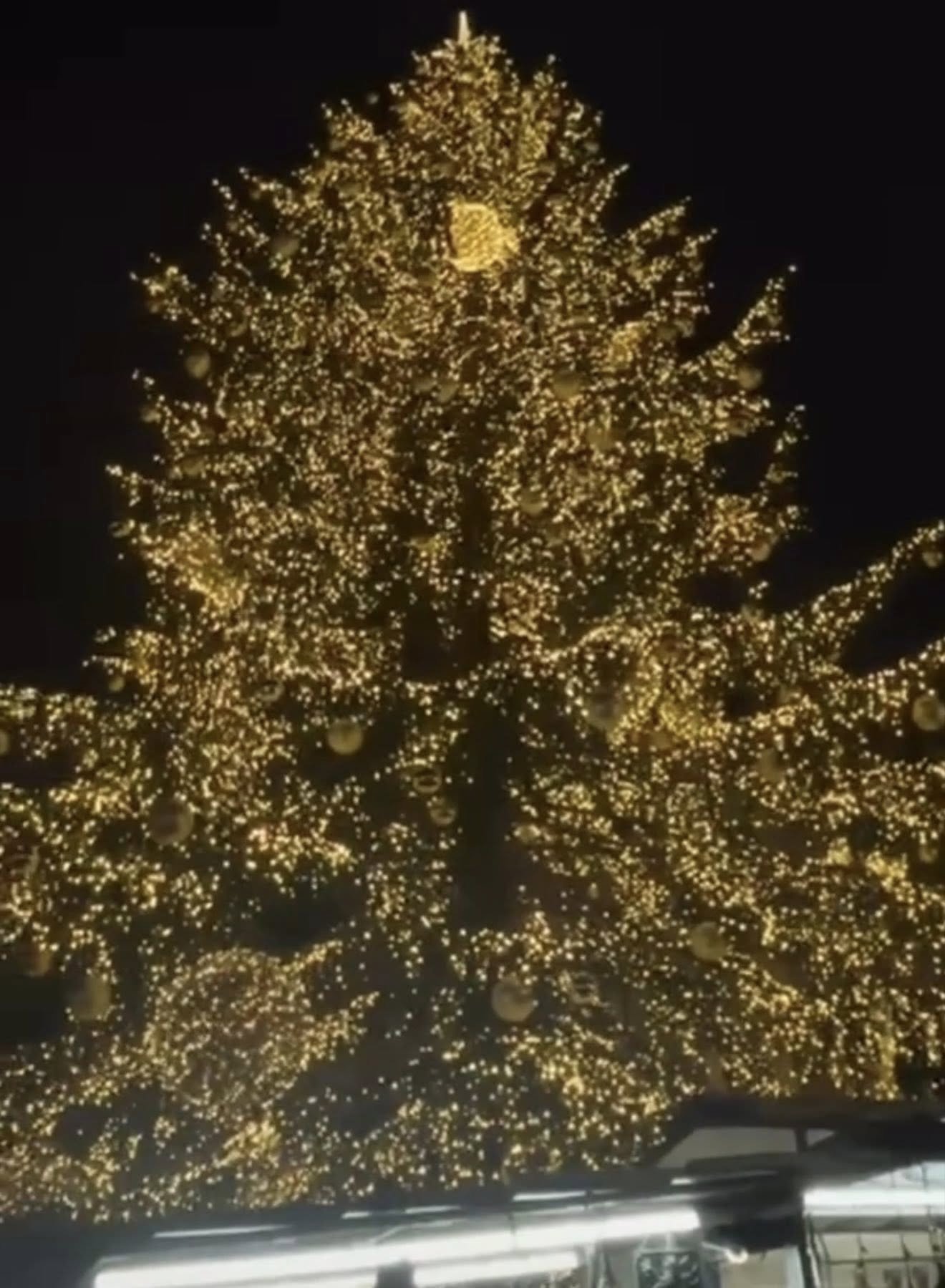 Jarmark Bożonarodzeniowy Praga 13/12/2025