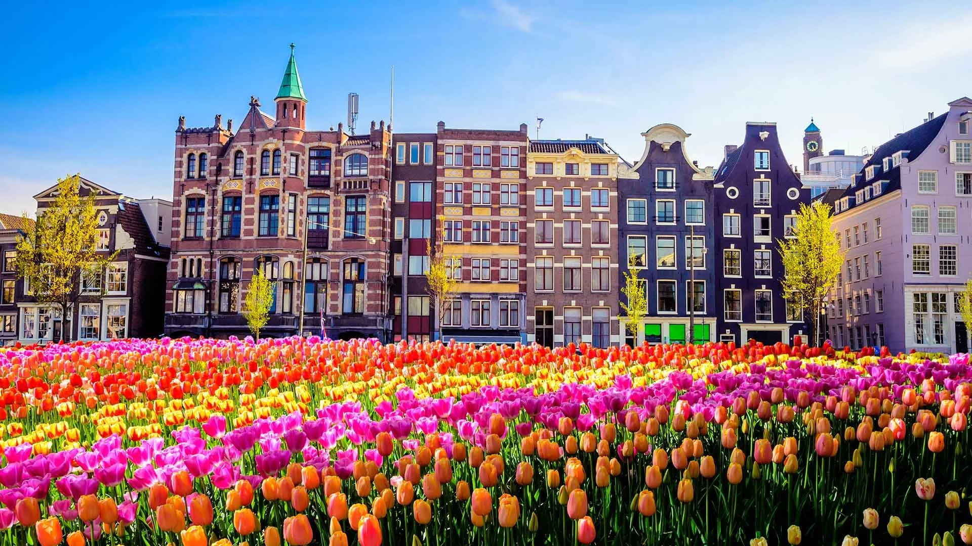the-ultimate-amsterdam-travel-guide-by-the-airbaltic-blog.jpg