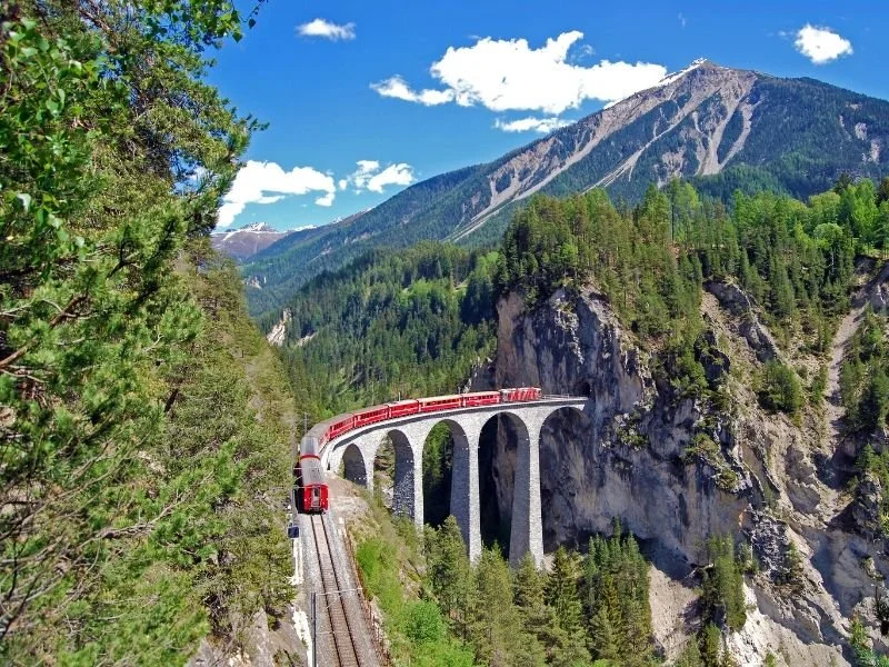 Arion-Senior-Bernina-Express-3.jpg