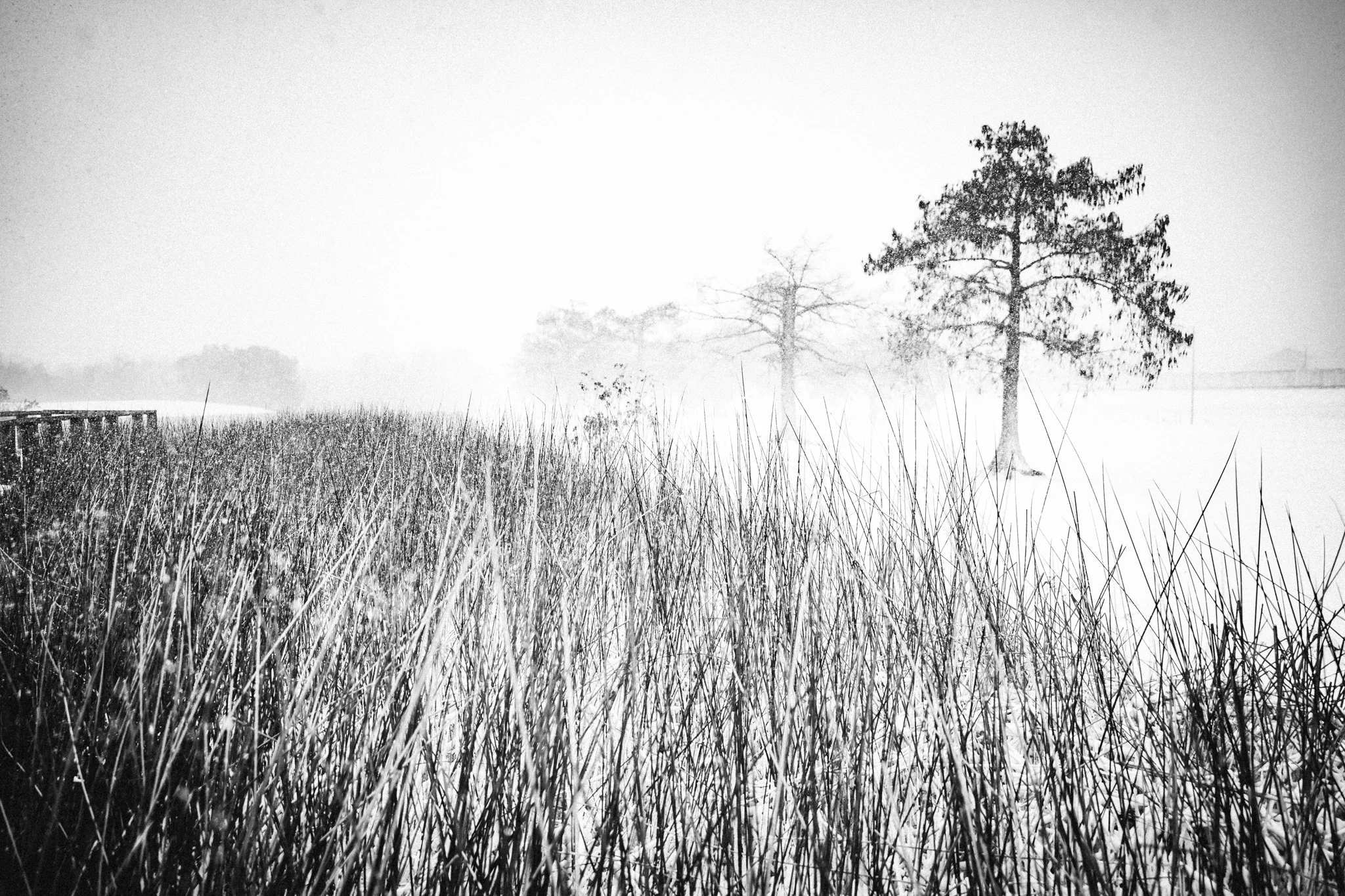 New Orleans Blizzard of 2025