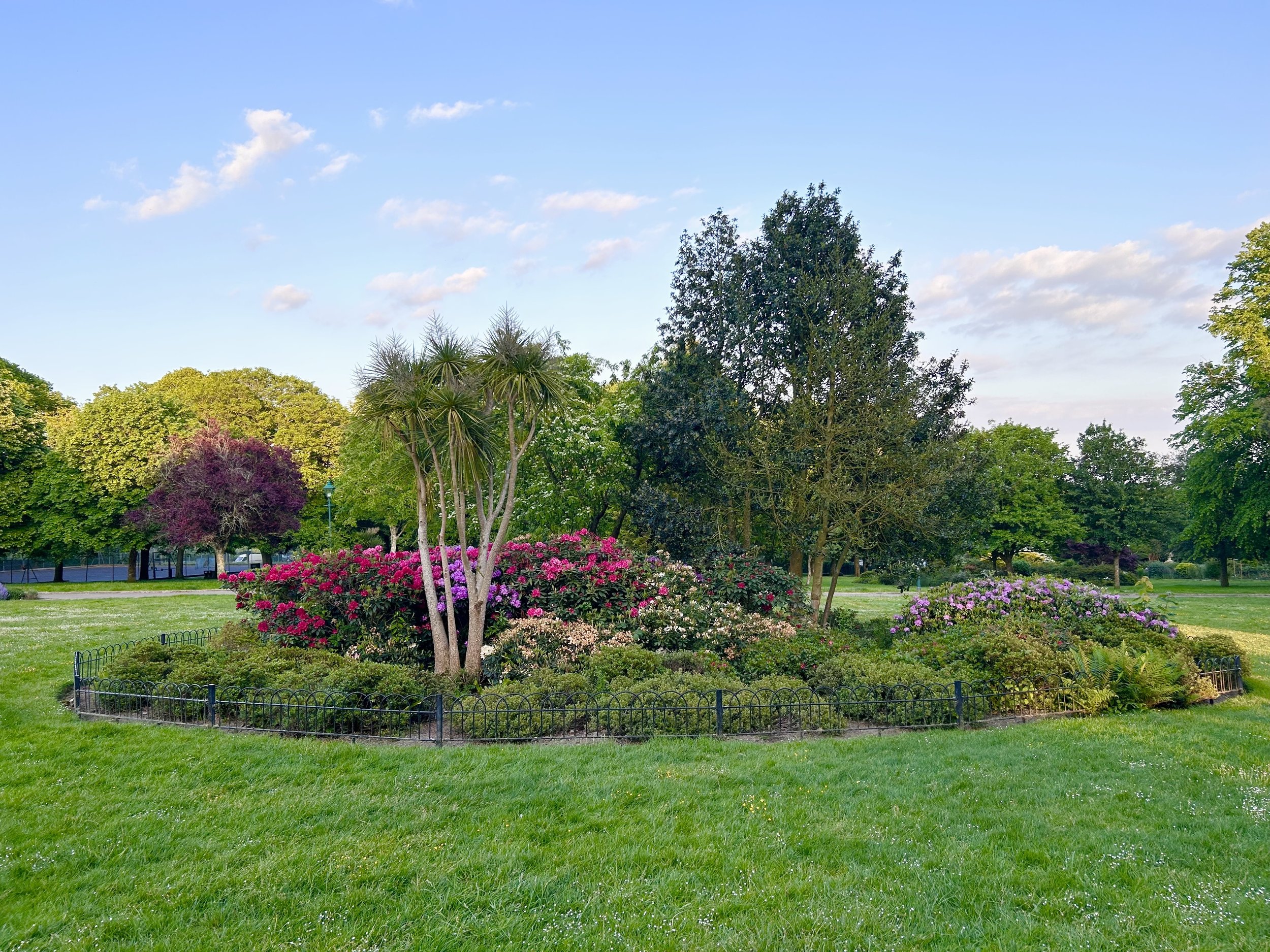 Walk 4 Devonport Park