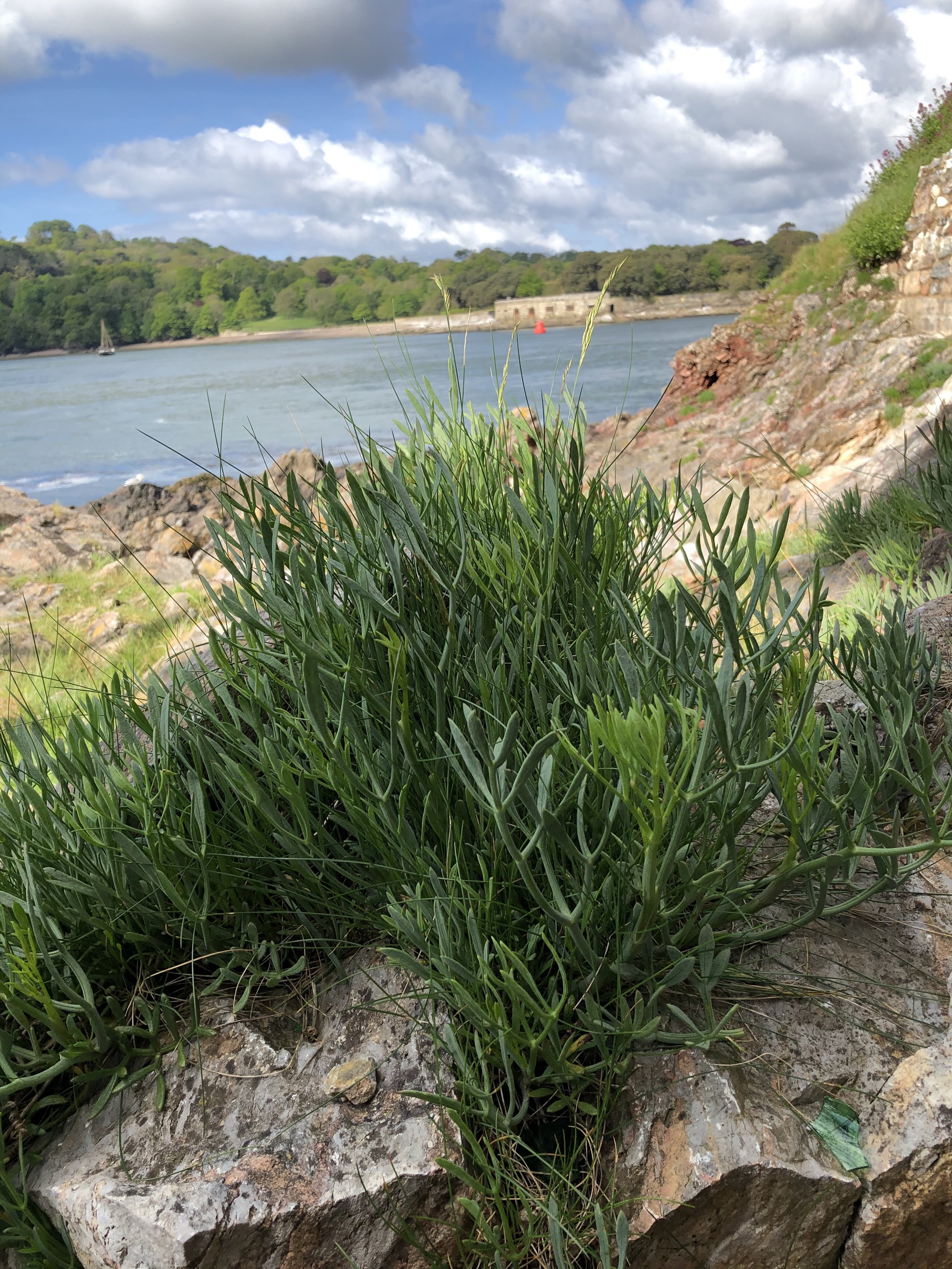 Walk 3 Devil’s Point