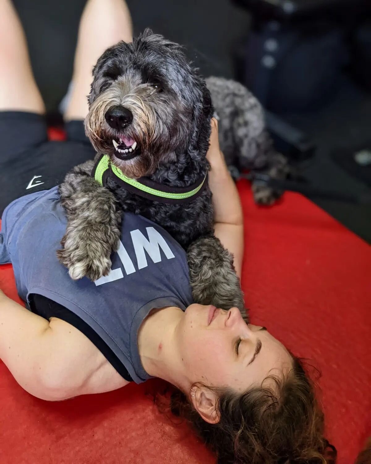 Post WOD emotional support from coach Monty 🥰 
.
.
.
#crossfitbasepoint #crossfit #dogcoach #exercise #fitness #gym #inwodwetrust #mentalhealth #teamwit #unit22fitness #workout #waterlooville @wit.fitness