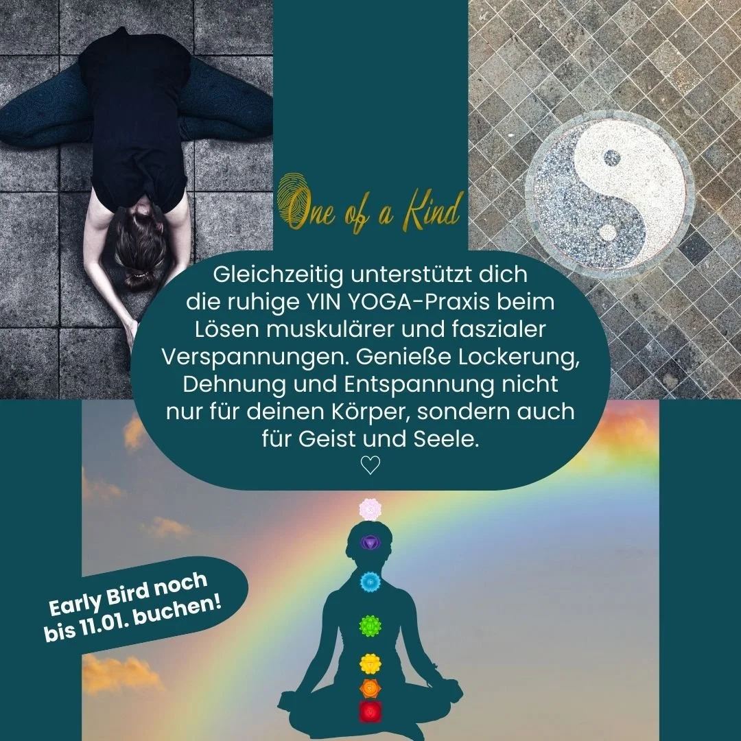 YIN CHAKRA YOGA OoaK CHAKRA YIN YOGA Kurs Frühling 2026 20260226-0416 square 03.jpg