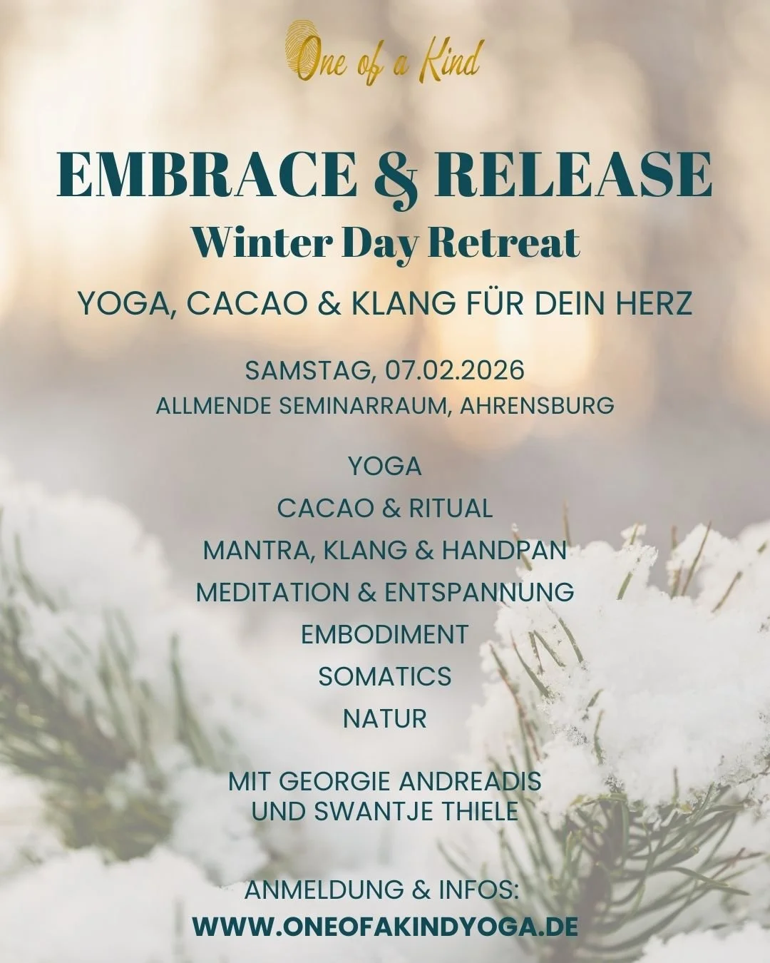 EMBRACE & RELEASE Winter Day Retreat 07.02.2026 Insta 01 v2.jpg