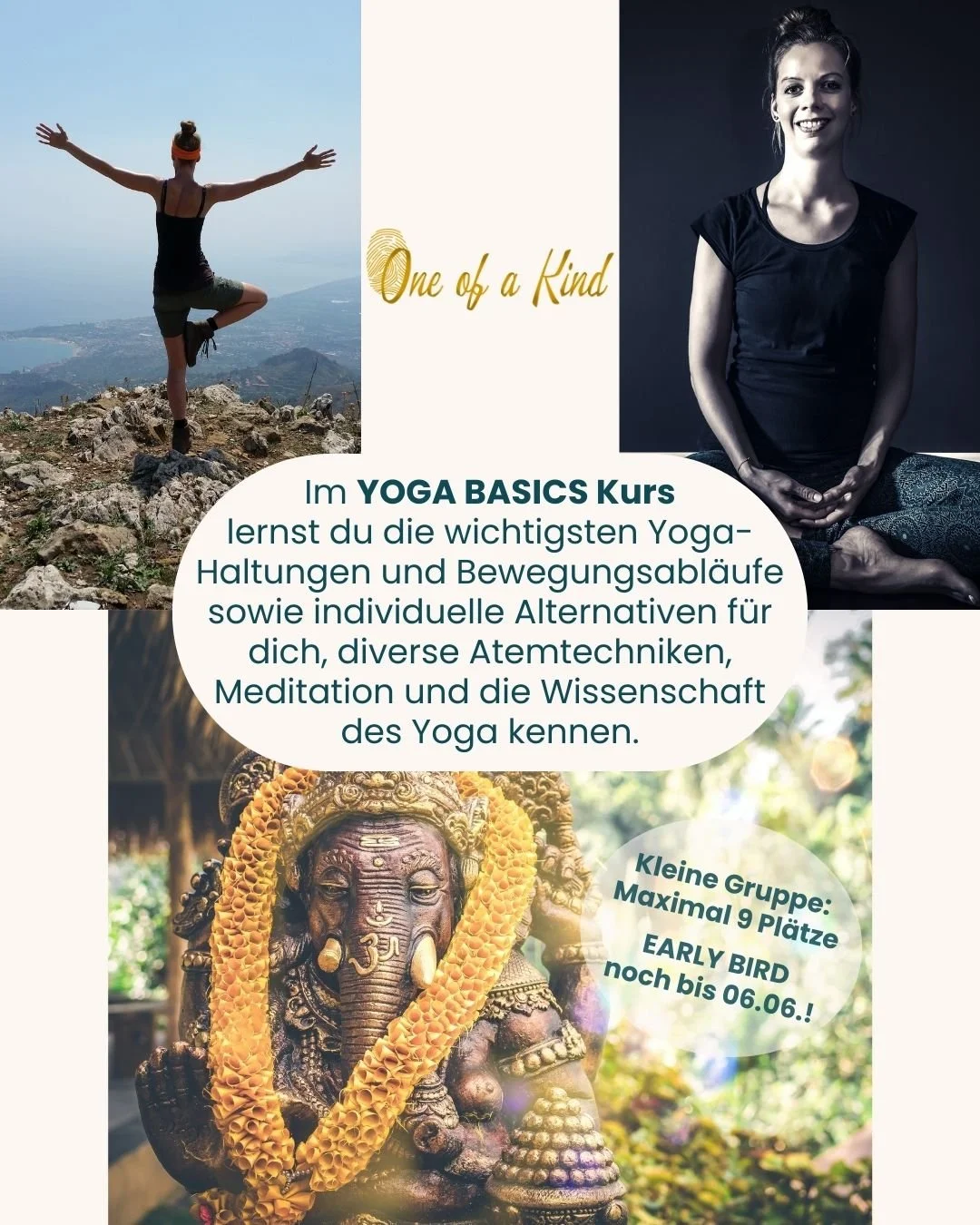 YOGA BASICS Kurs 2026 Anfänger OoaK 20260827-1029 02.jpg