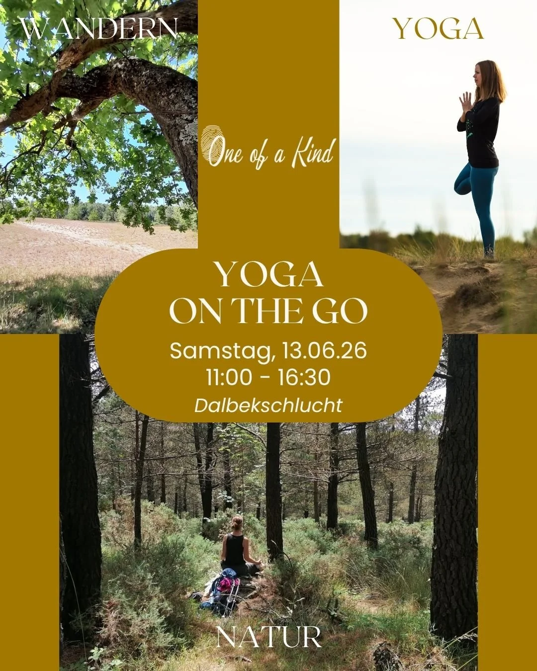 YOGA ON THE GO 13.06.2026 Yoga Wandern Insta FB 20260613 01.jpg