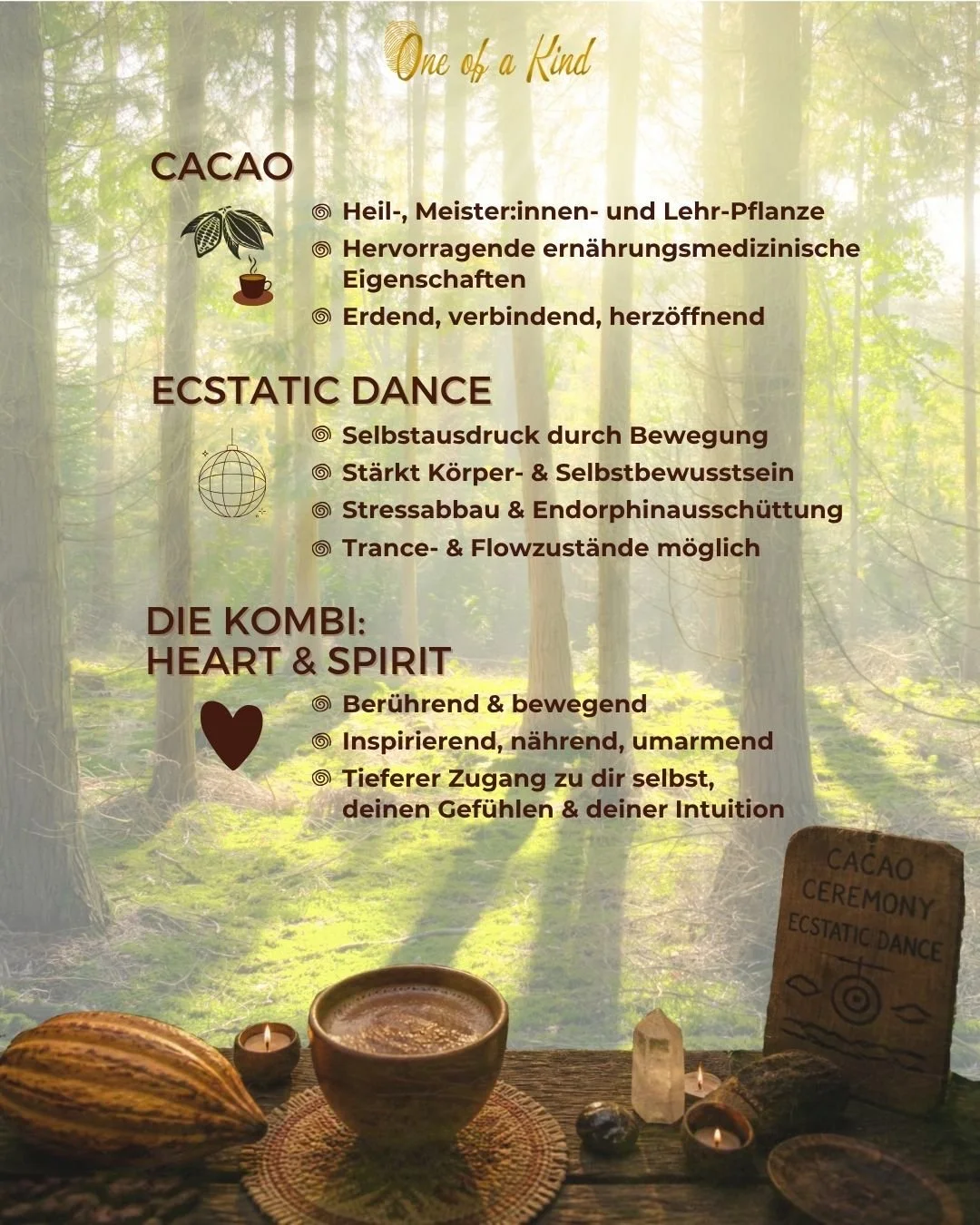 FOREST UNITY MOVEMENT + CACAO 20260829 Insta FB 2026 03.jpg