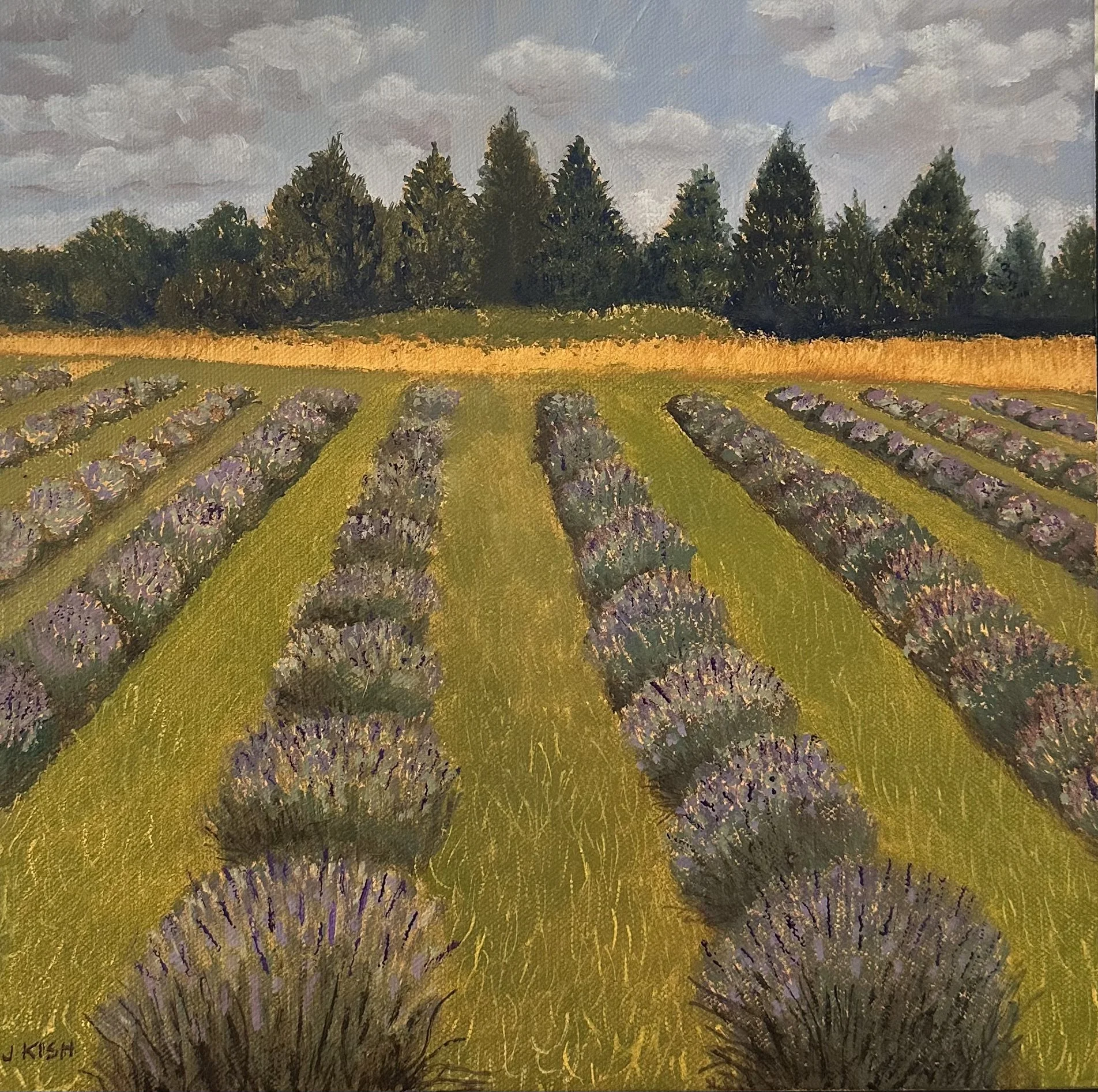 Lavender Farm.jpg