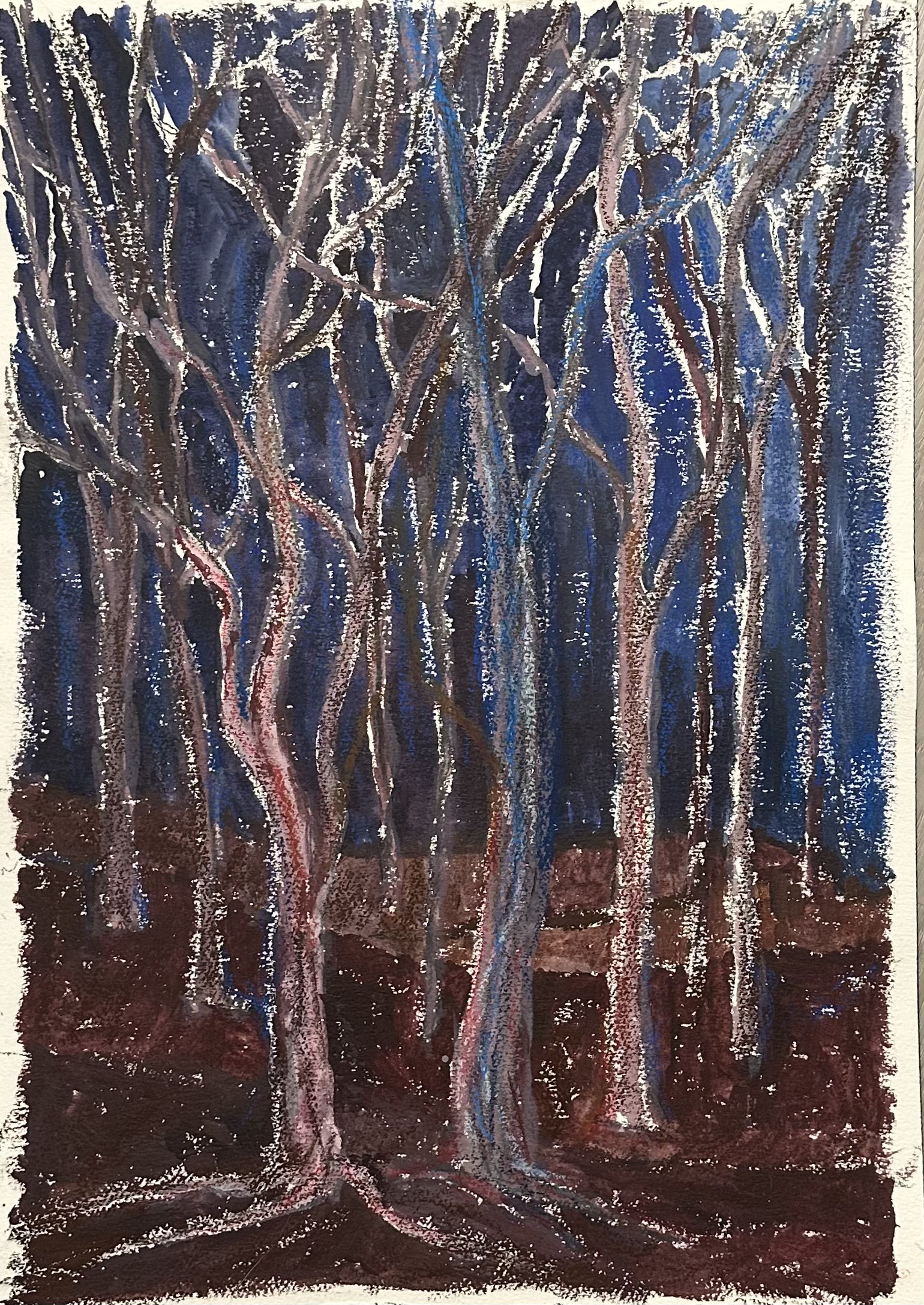 NightintheForest (2).jpg