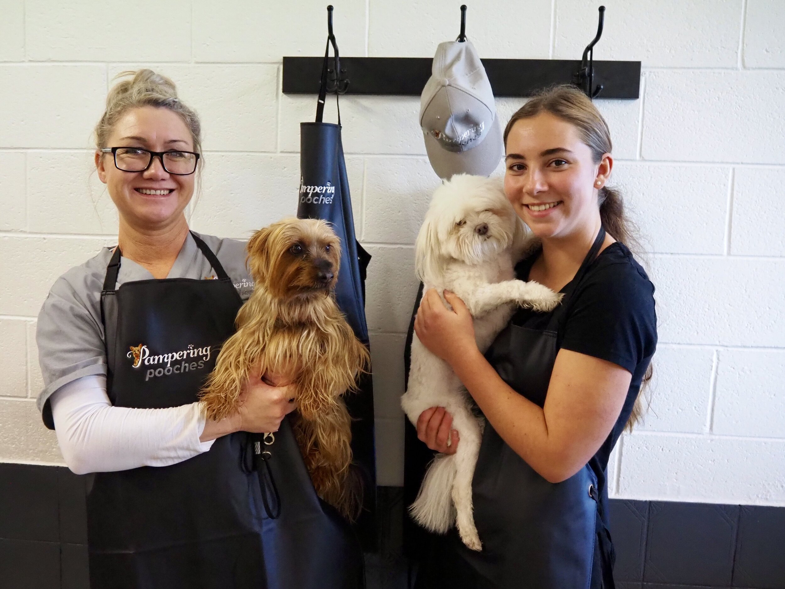 Pooch pampering cheap