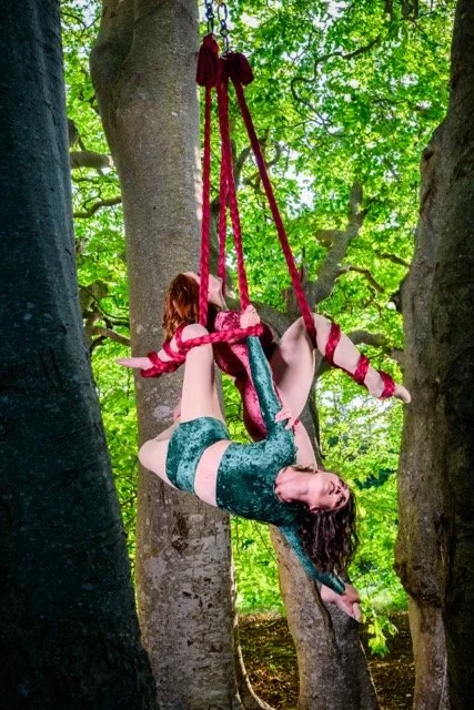 Amy - Nightshade print-2 - Amy Chafe Medium.jpeg