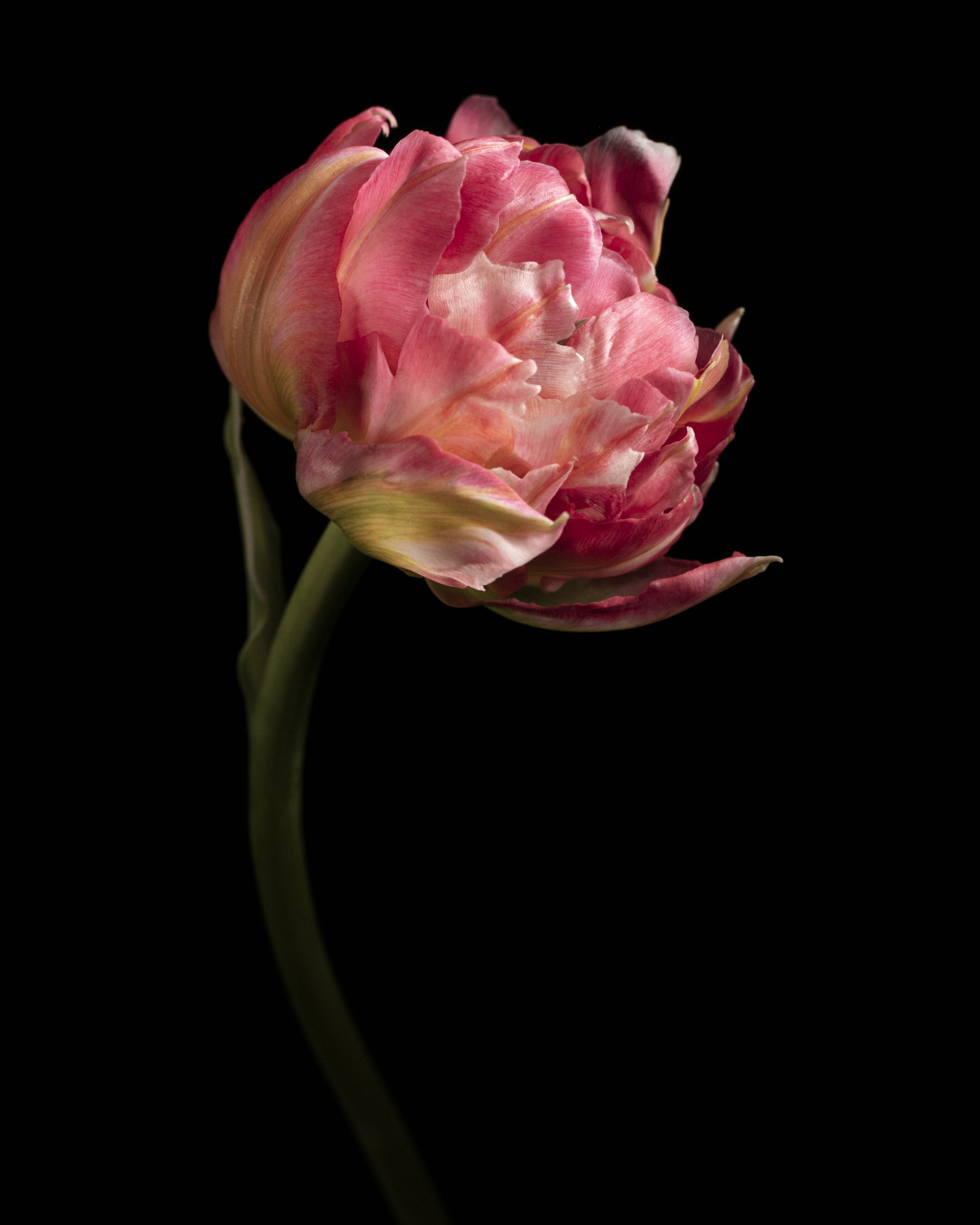 Sony-Capture One 1098-Edit-3.jpg