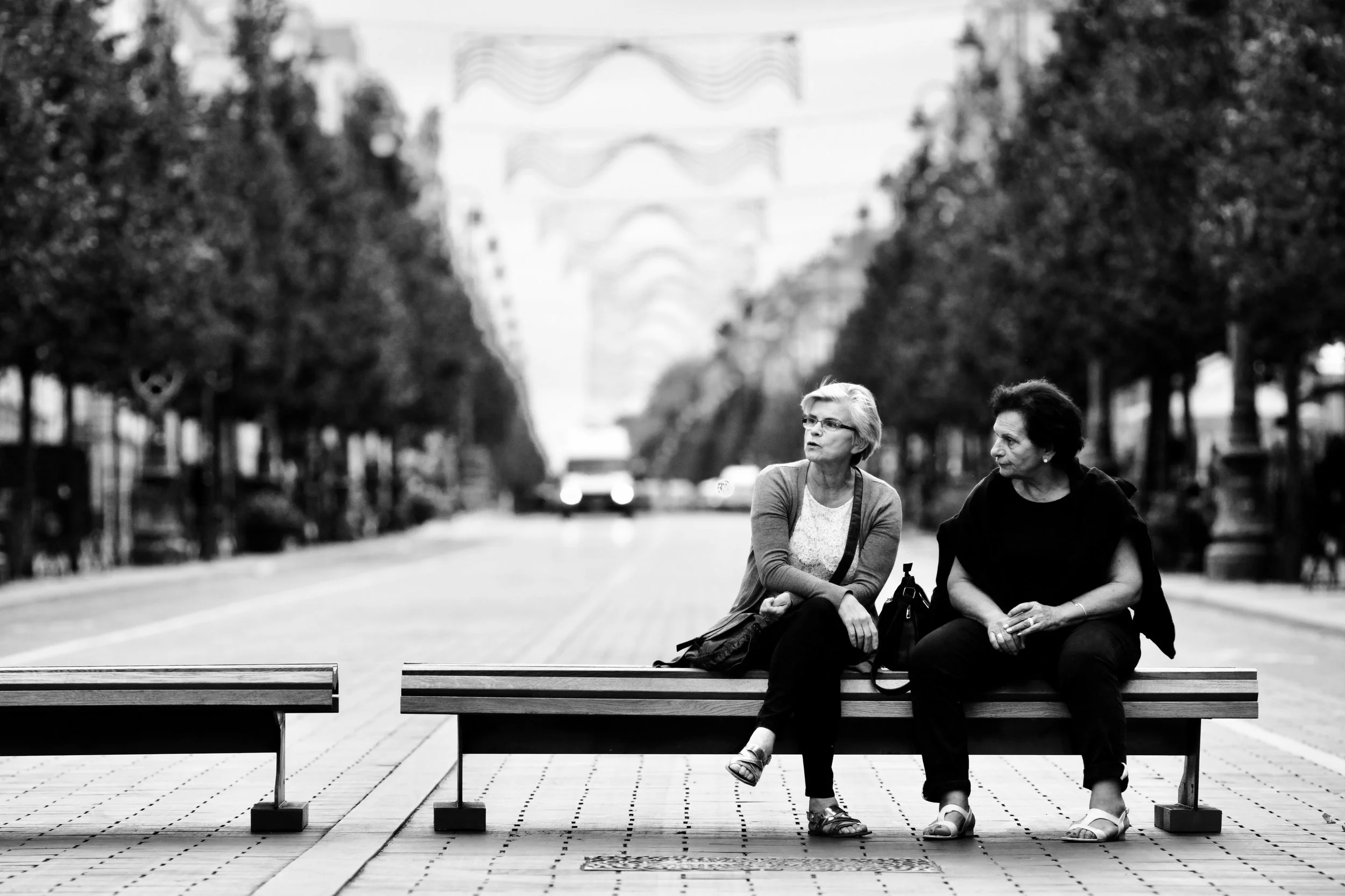 Two women sitting on a park bench in the middle of a city street, having a conversation. It is black and white photography, with trees lining both sides of the street and cars in the background.