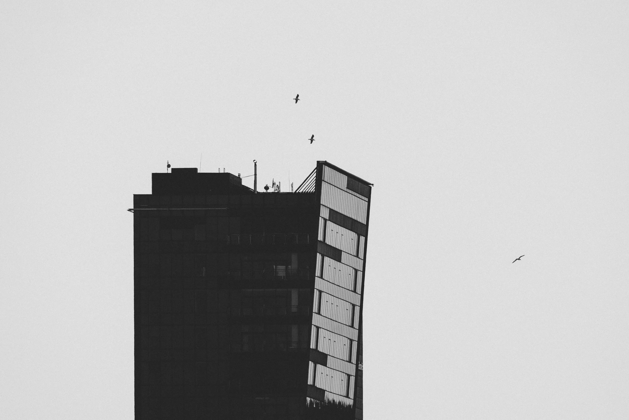 A black and white photo of a modern high-rise building with a distinctive angled design, with three birds flying in the sky above it.