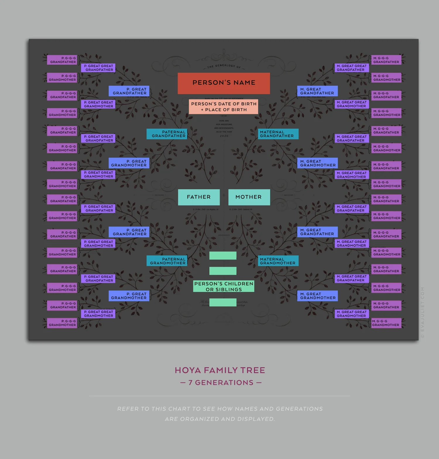 Hoya Family Tree 7 Generations Evajuliet Family Tree Shop