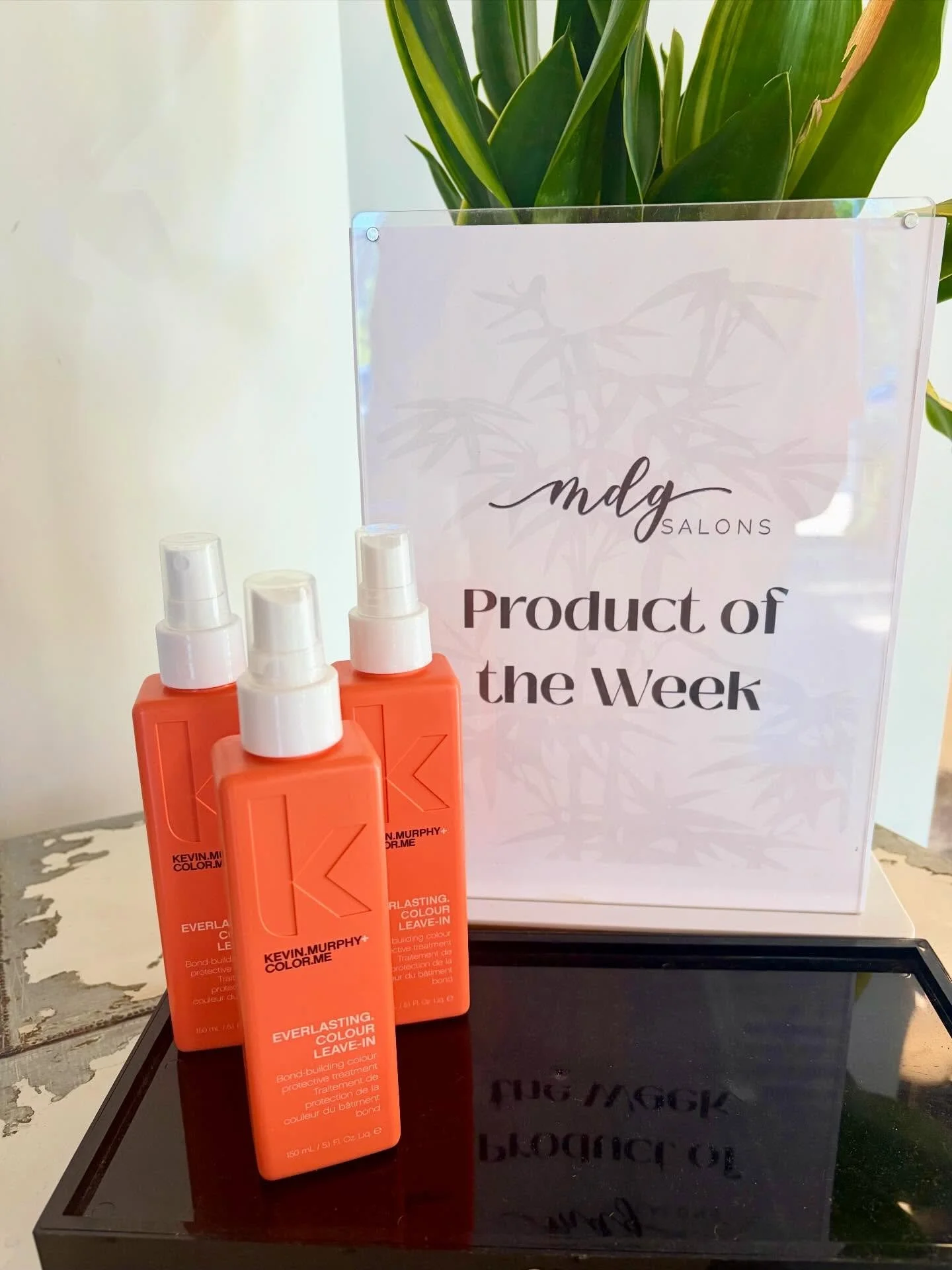 ✨FEATURE PRODUCT OF THE WEEK✨

Everlasting Colour Leave-in Spray

Features: With bond building technology, this leave in spray penetrates the cuticle to build strength from within, guarding against breaking, cuticle loss, and damage.  It lowers the h