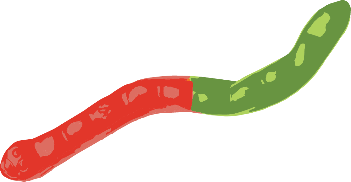 A digital illustration of a chili pepper with a green and red gradient, curved shape, and a pointed tip.