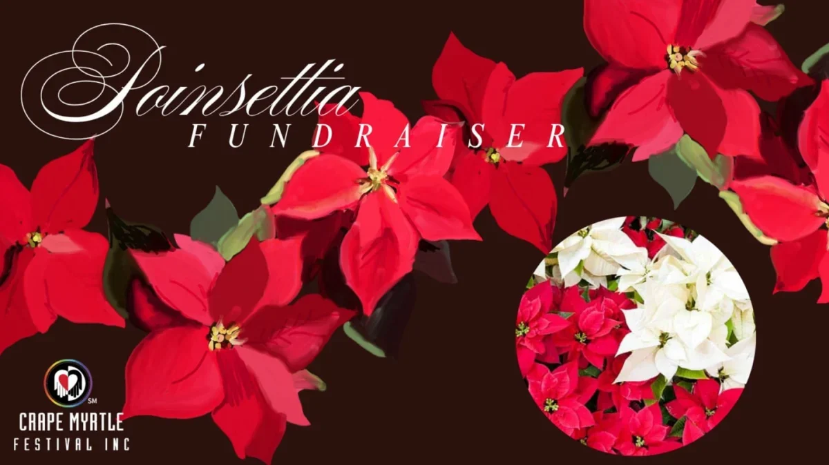 Poinsettia Fundraiser