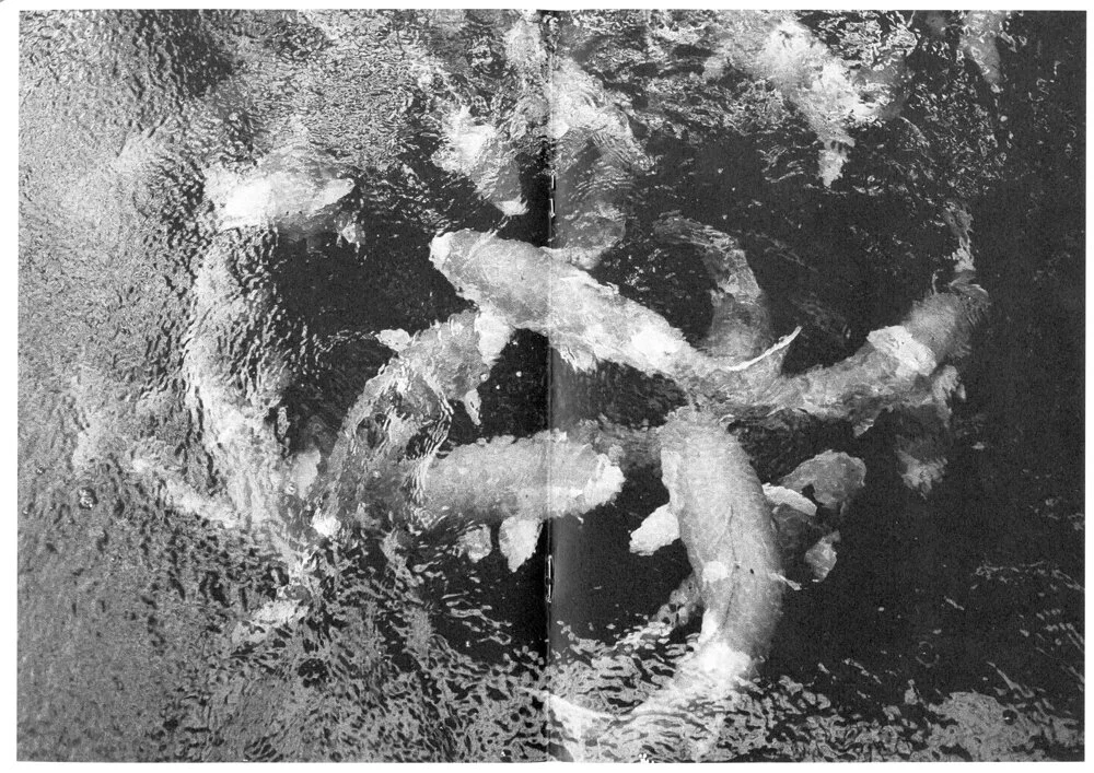 td-issue-1-12.jpg