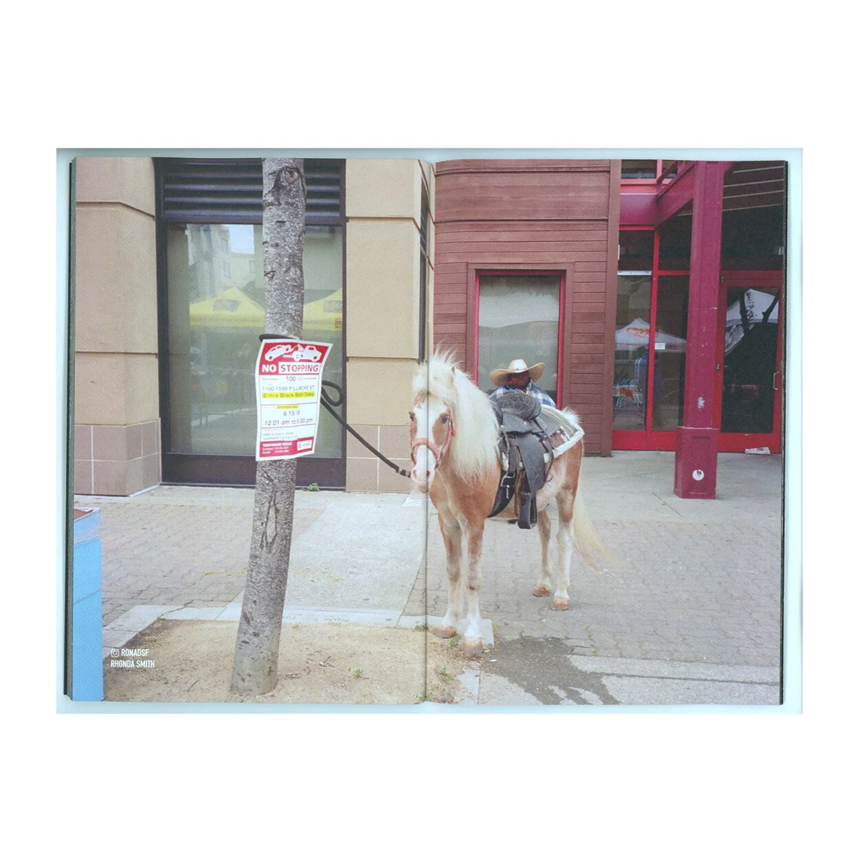 store8.jpg