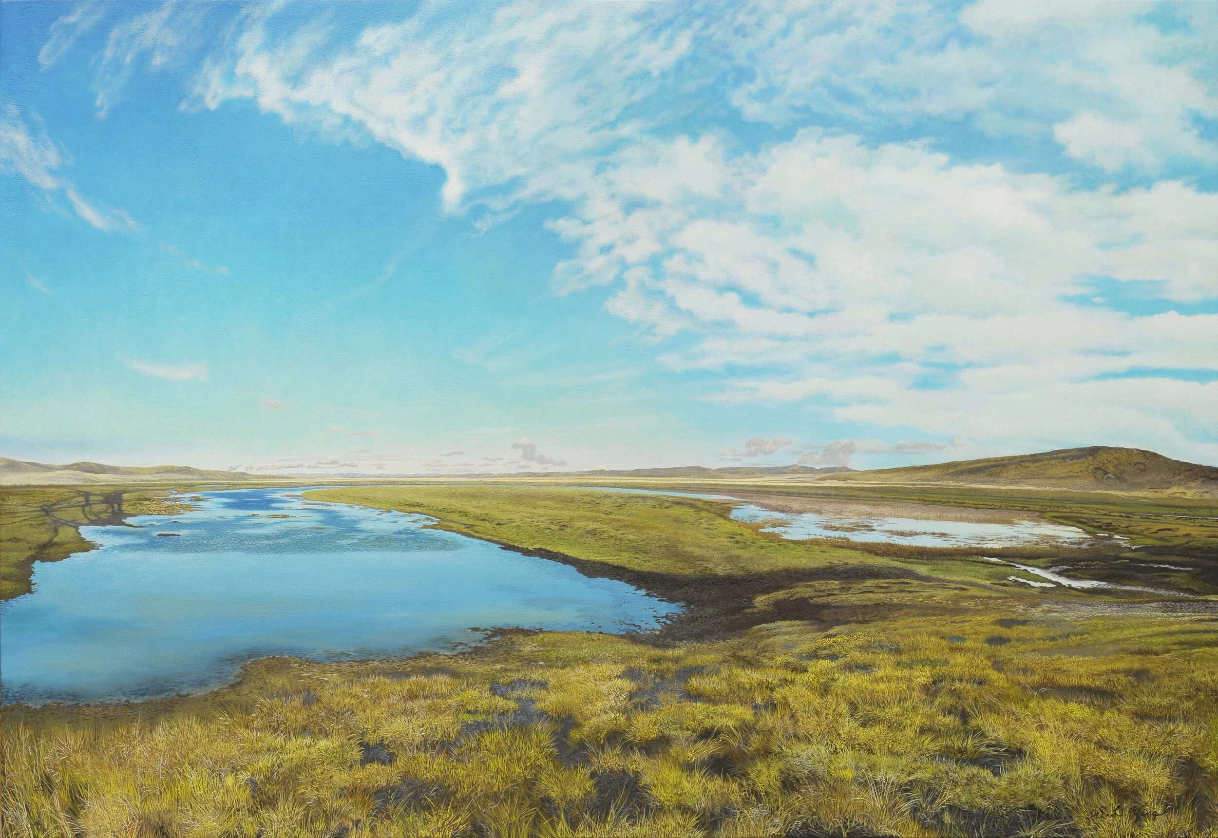 Marshland and flying cloud.jpg