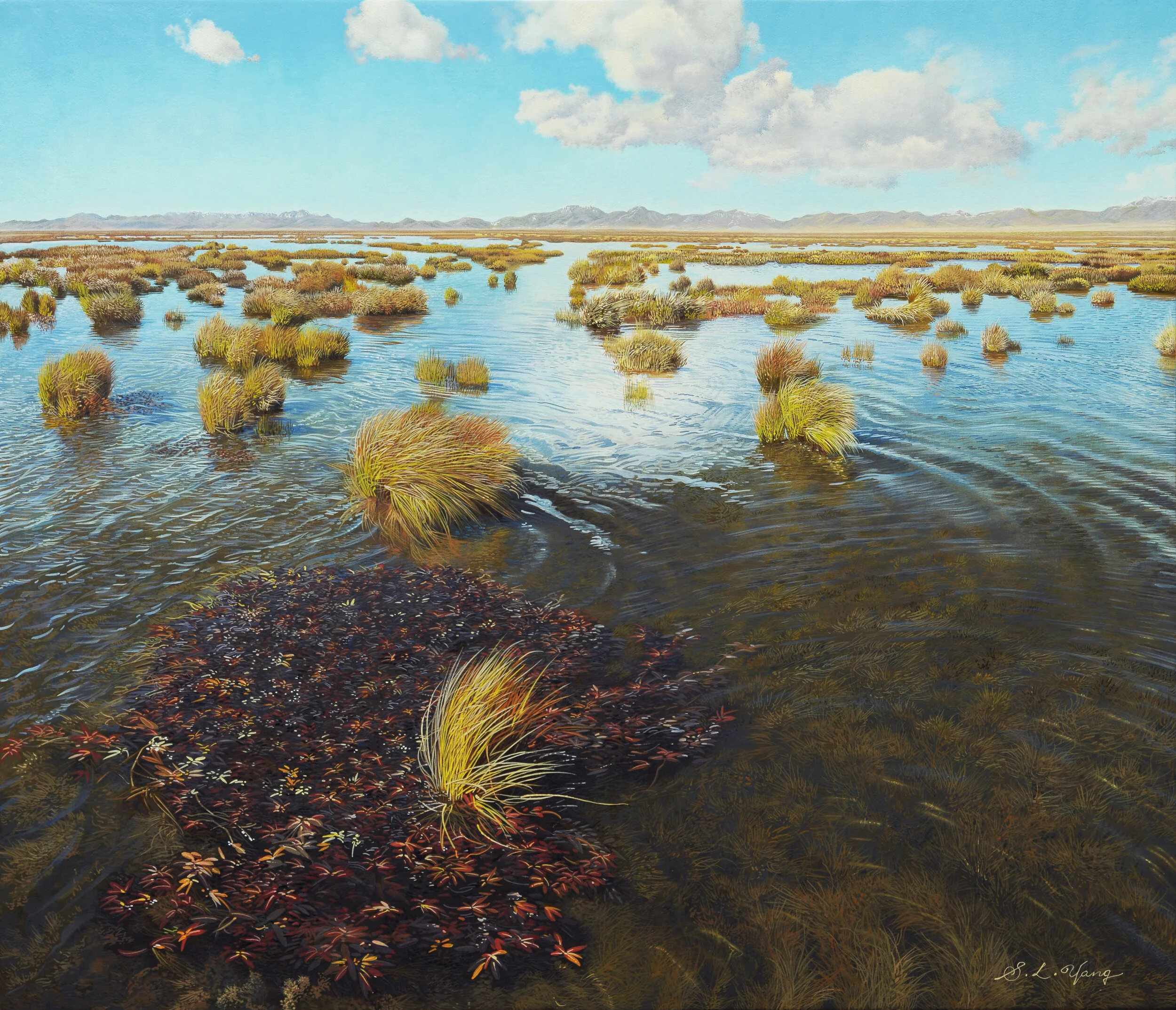 Sunny day in Marshland.jpg