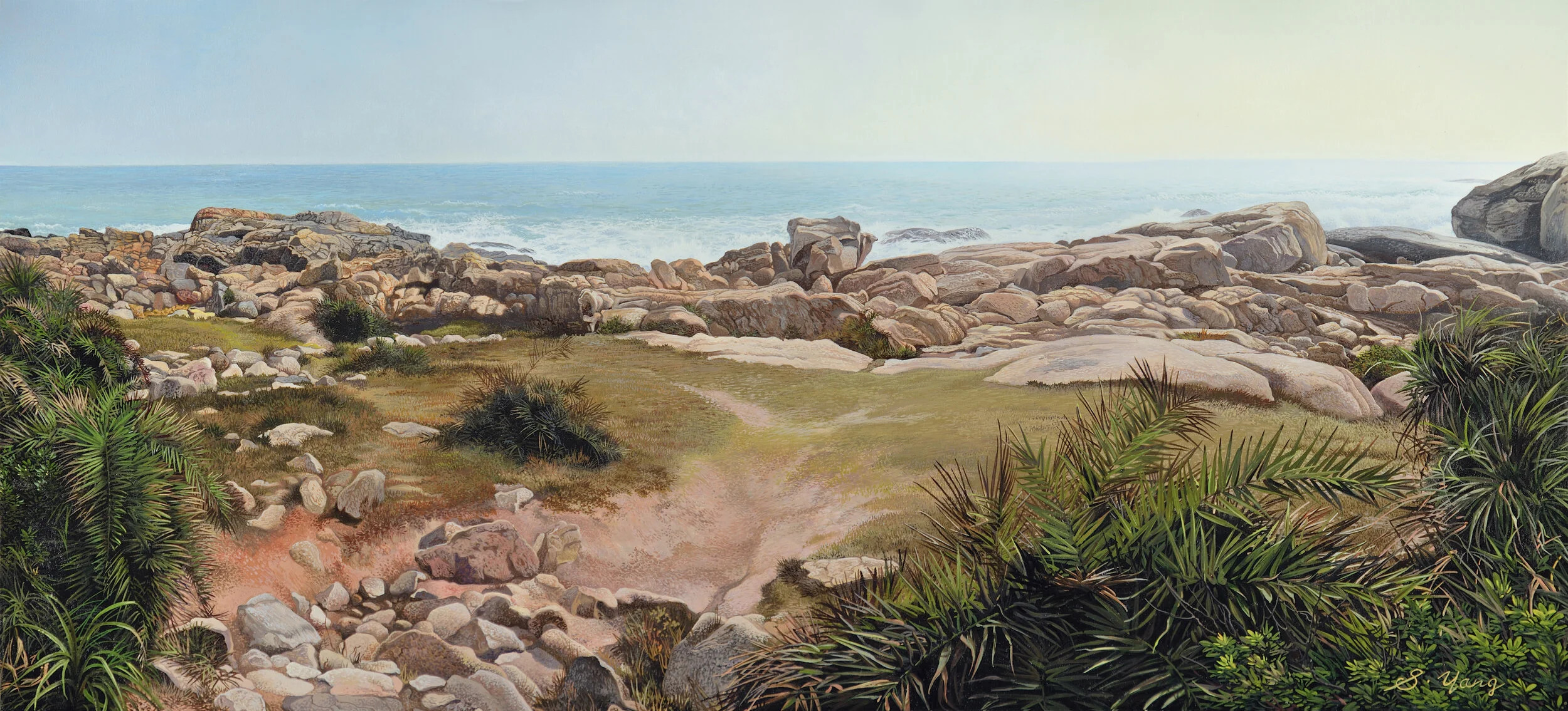 Half sky and half cape.jpg