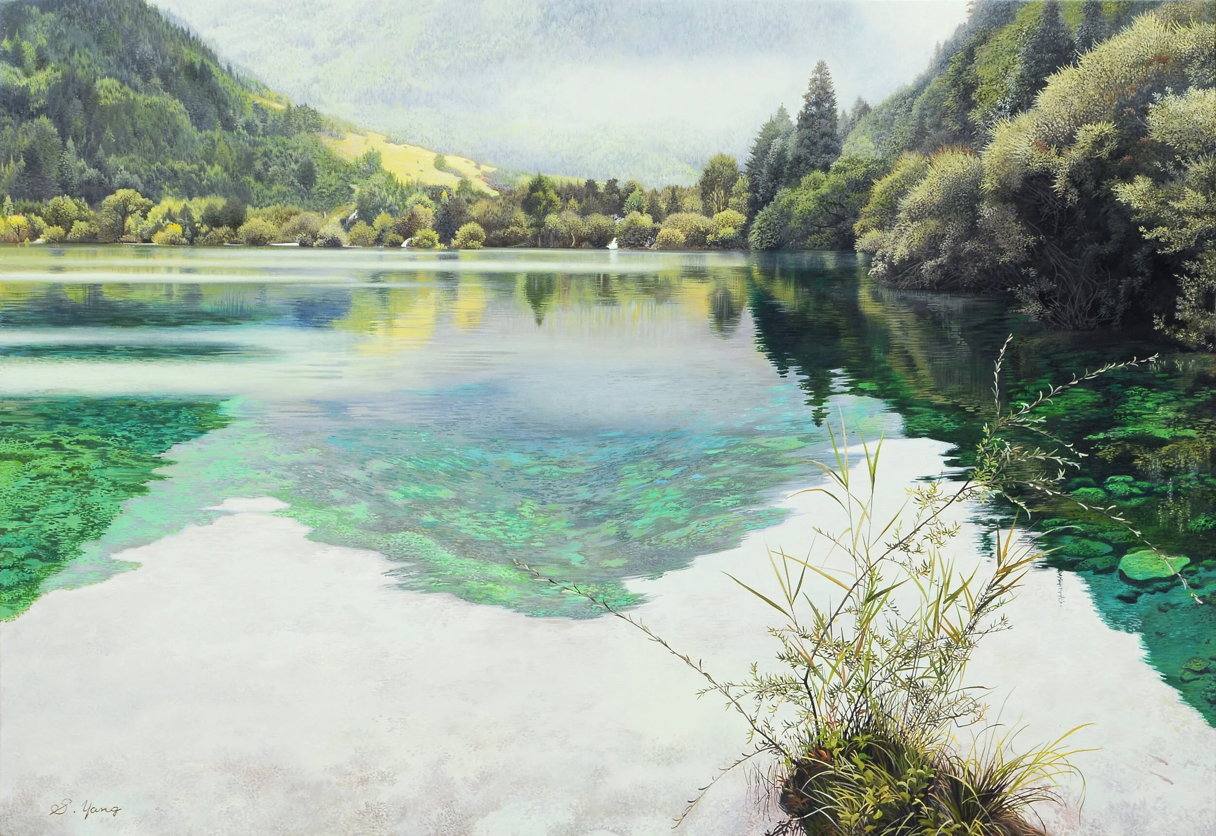 Thin fog on lake.jpg