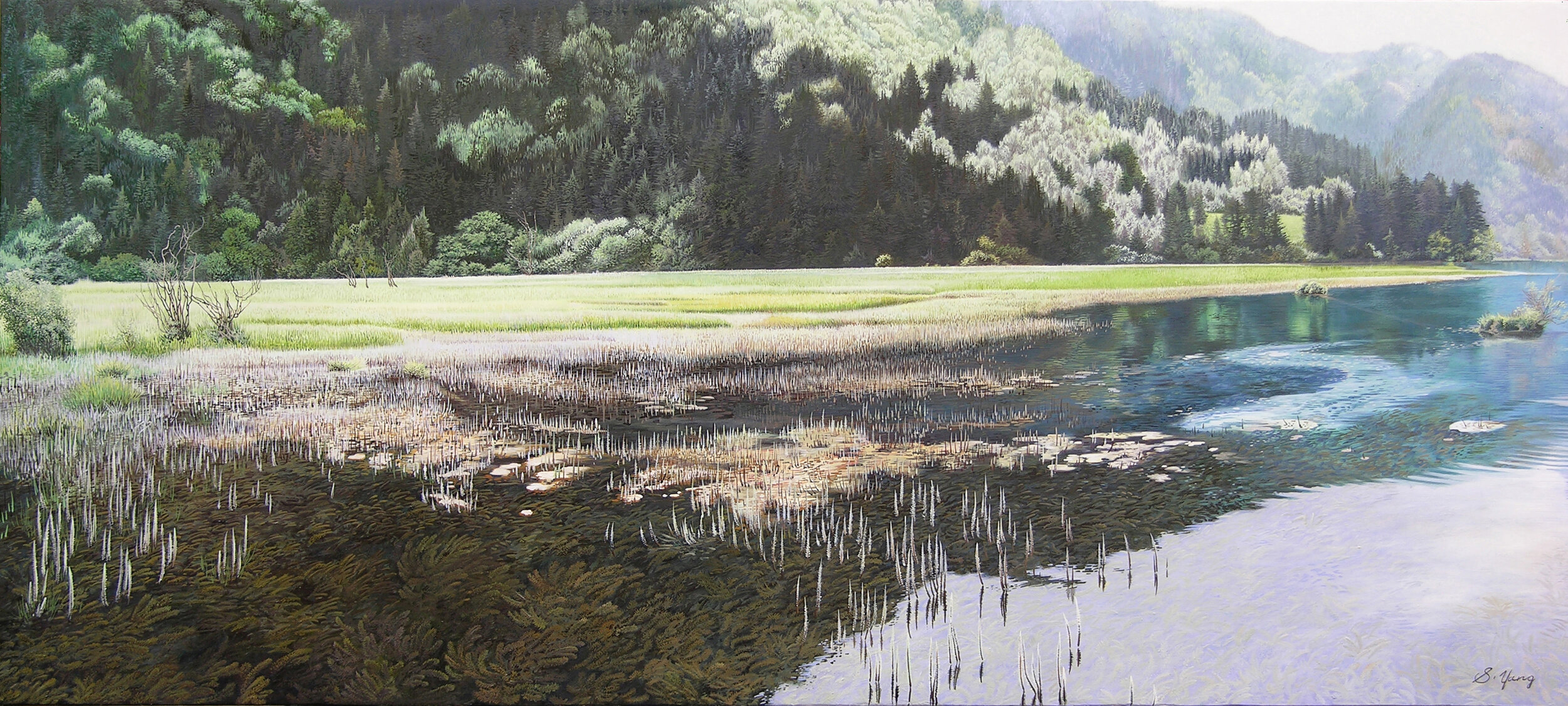 Marshland and thin water.jpg