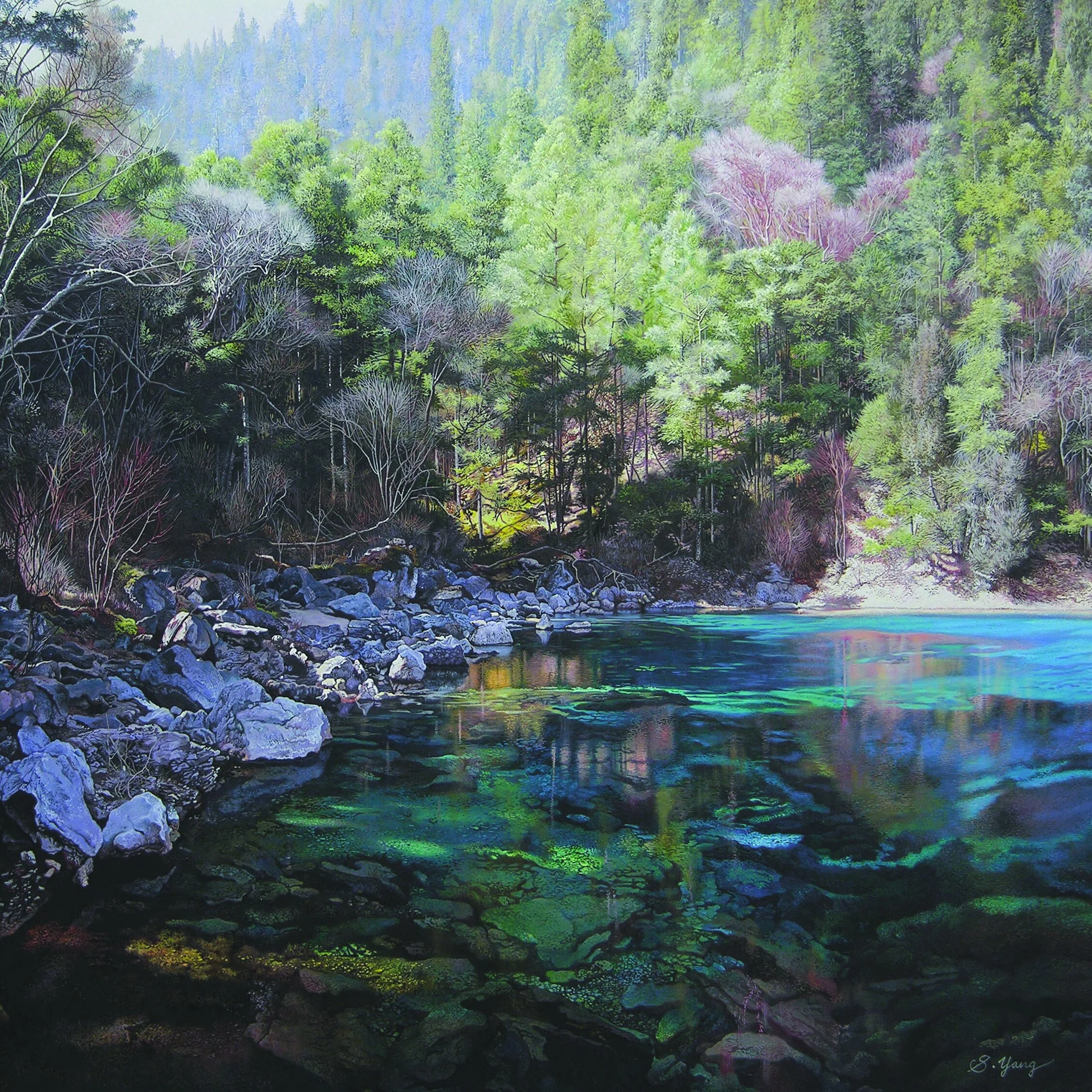Sun shining on forest by lake.jpg