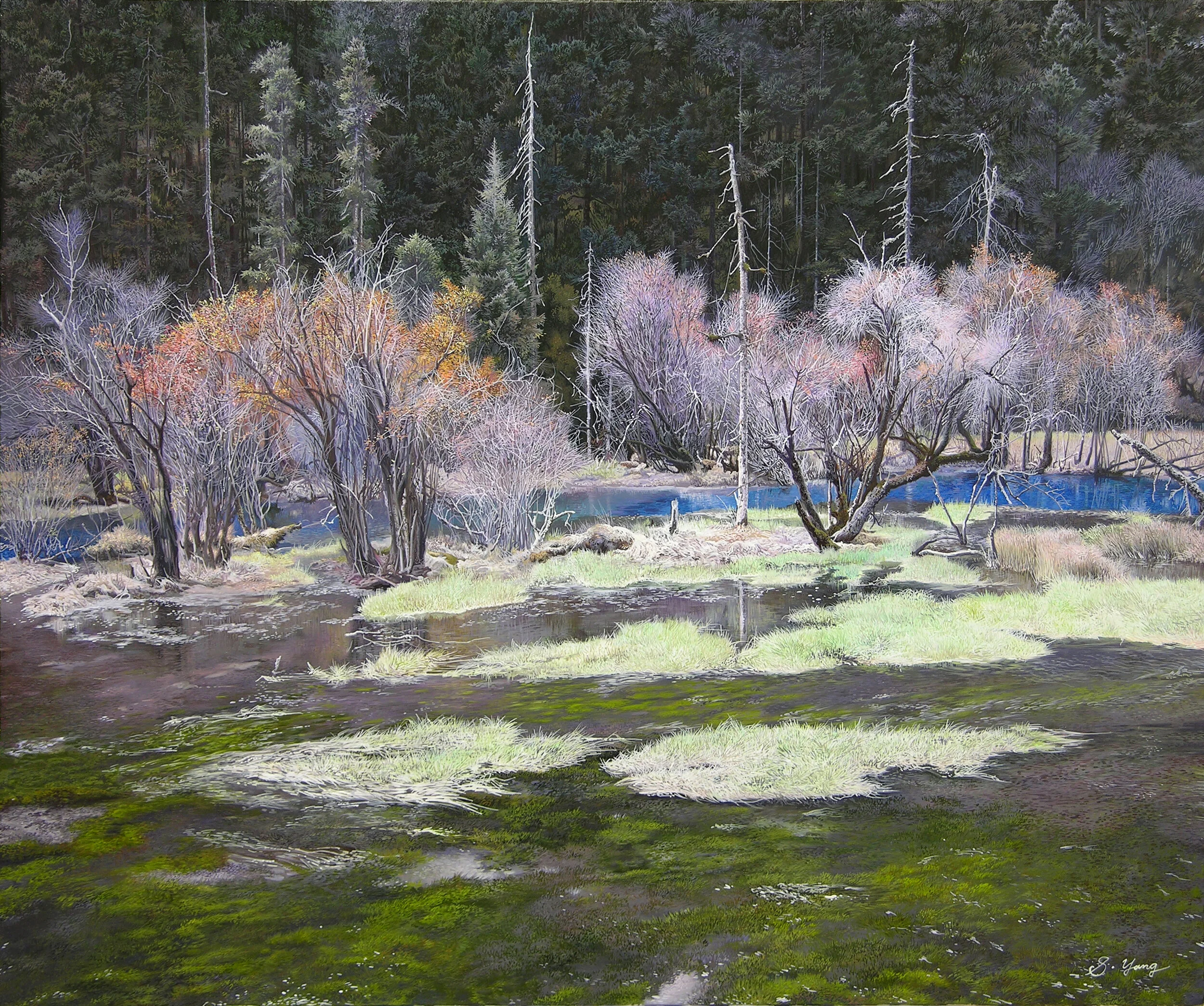 Small woods on marshland.jpg