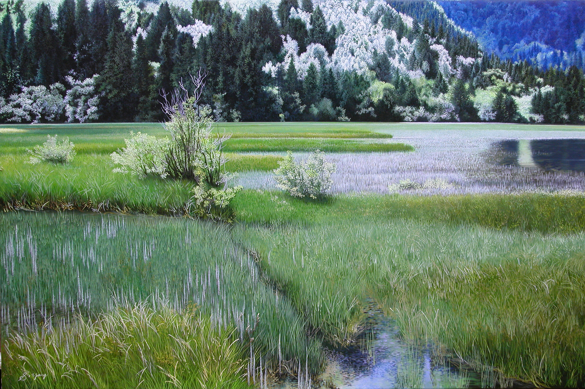 Grass on water.jpg