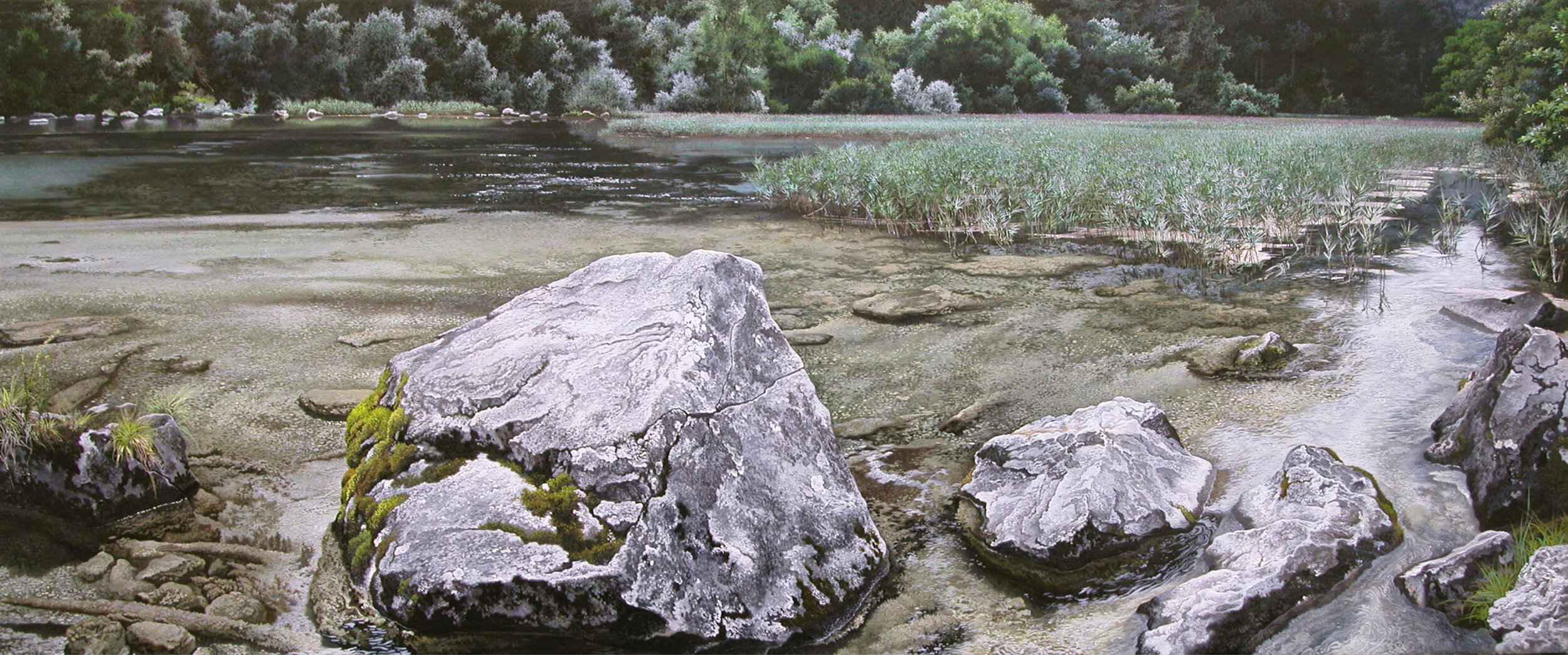 Rock and Marshland.jpg