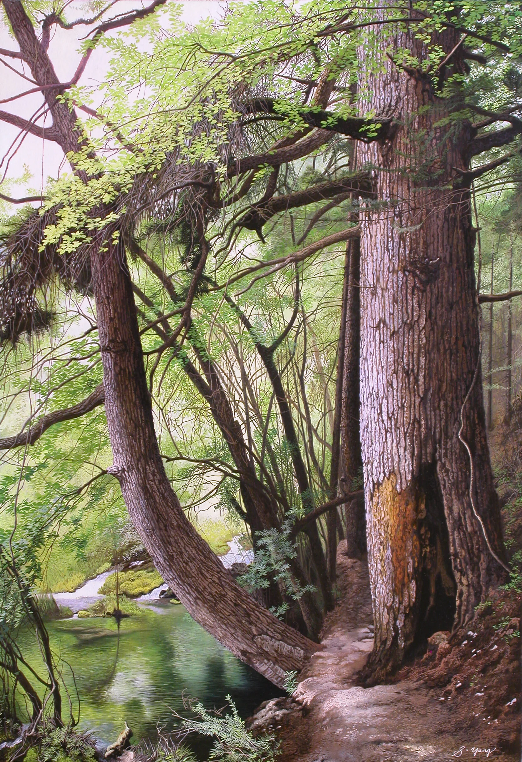 Secret path in the forest.jpg